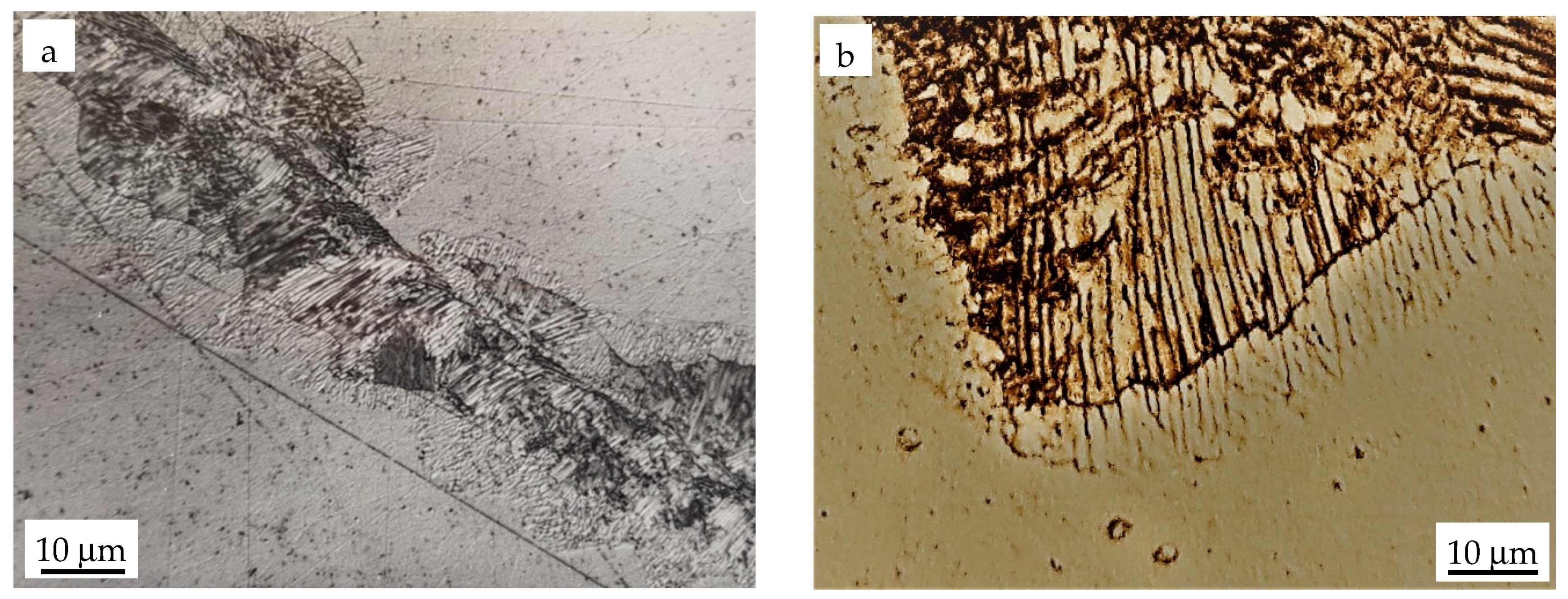 Materials 14 01939 g003