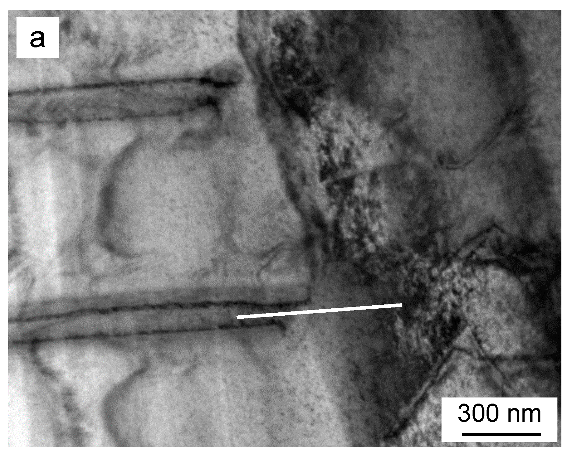 Materials 14 01939 g008a