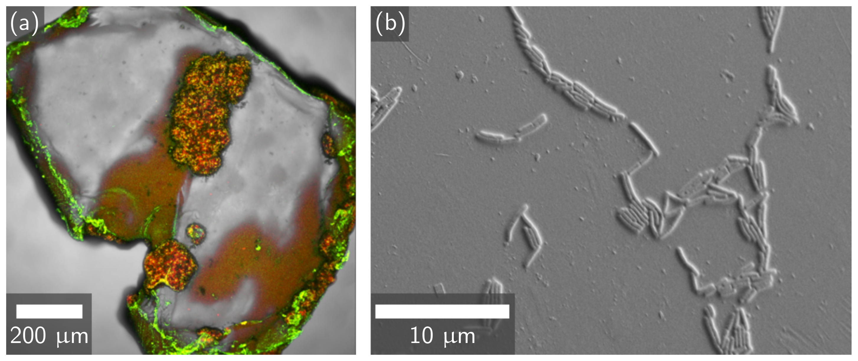 Materials 14 01949 g001 Materials 14 01949 g001