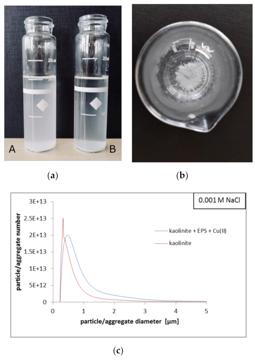 Materials 14 01950 g008