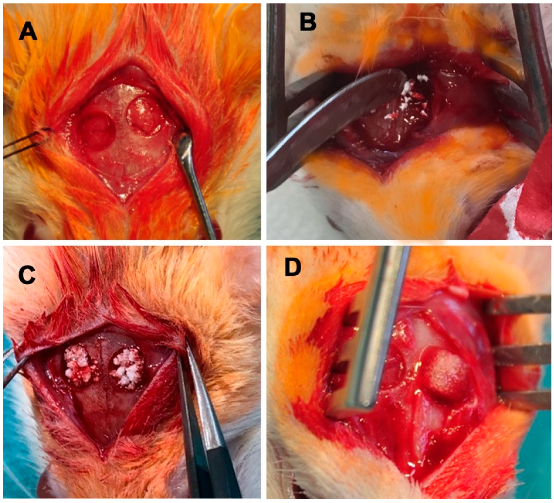Materials 14 01961 g001