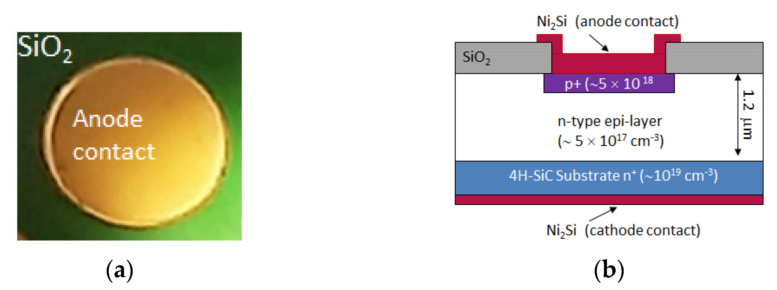 Materials 14 01966 g001