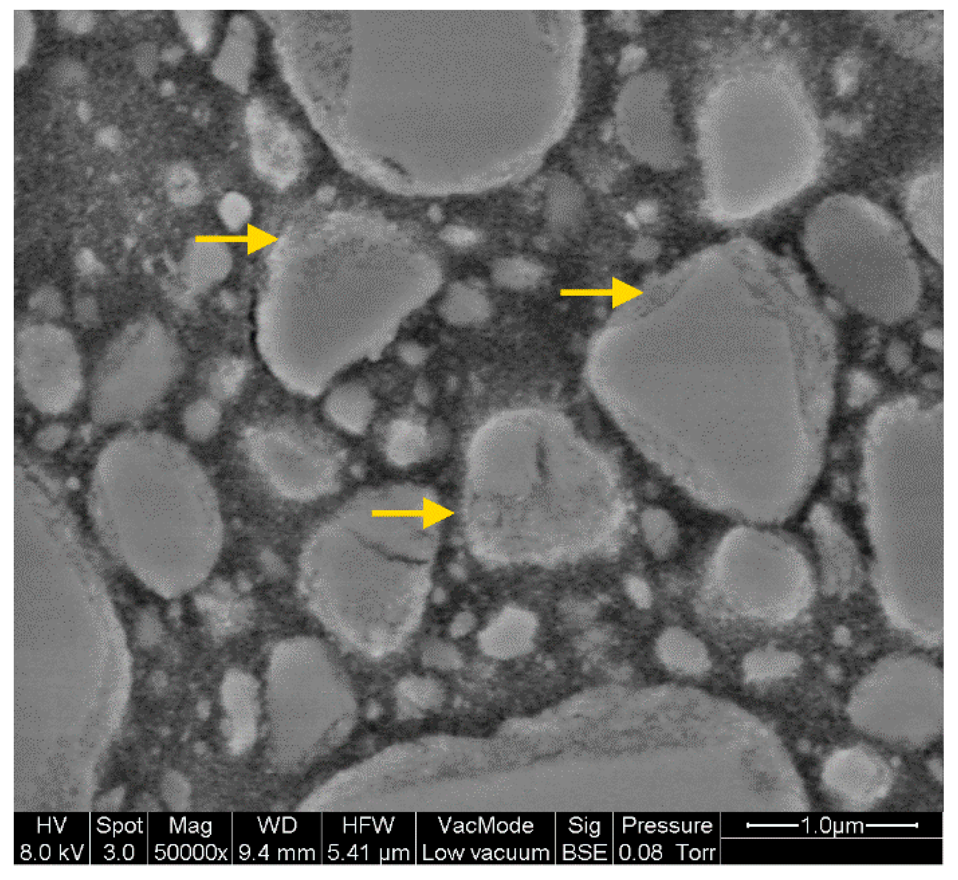 Materials 14 01986 g009 Materials 14 01986 g009