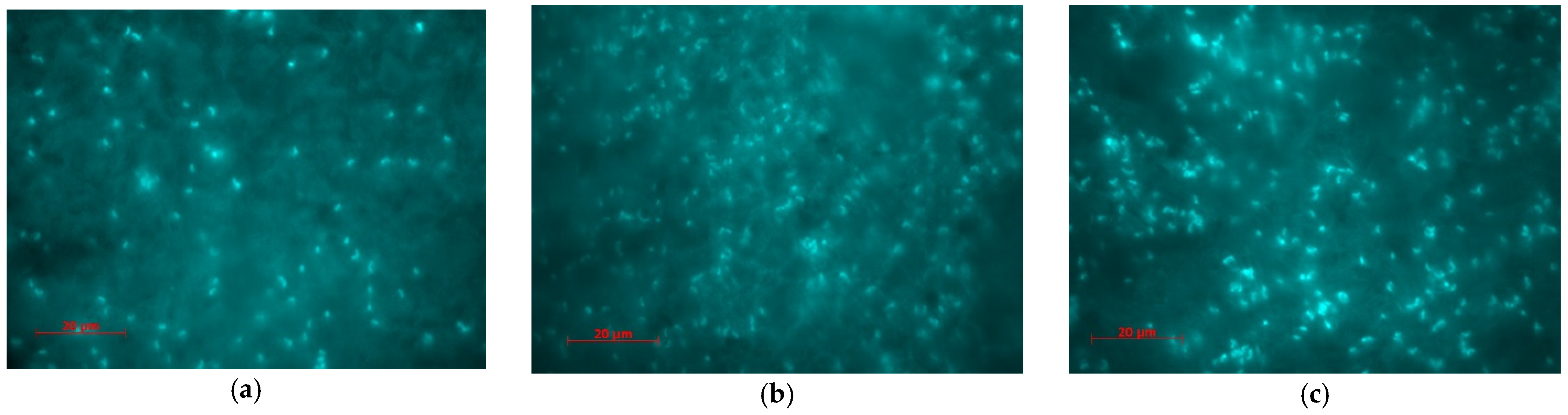 Materials 14 01991 g010