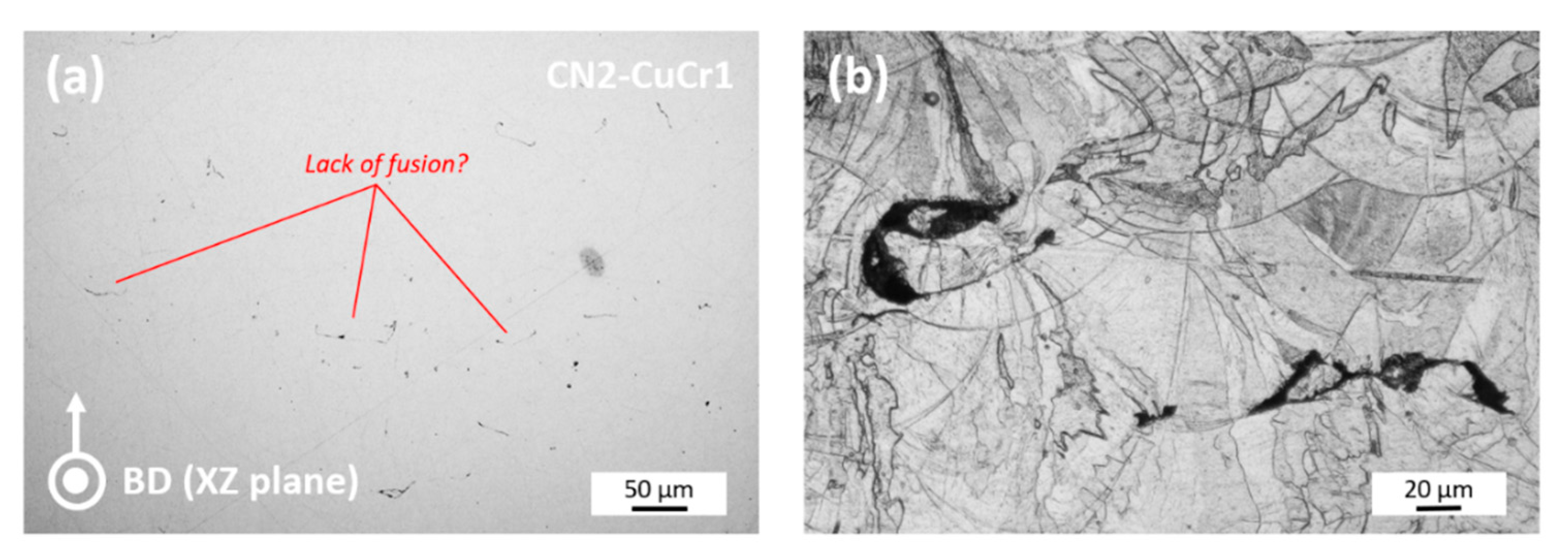 Materials 14 01995 g004 Materials 14 01995 g004
