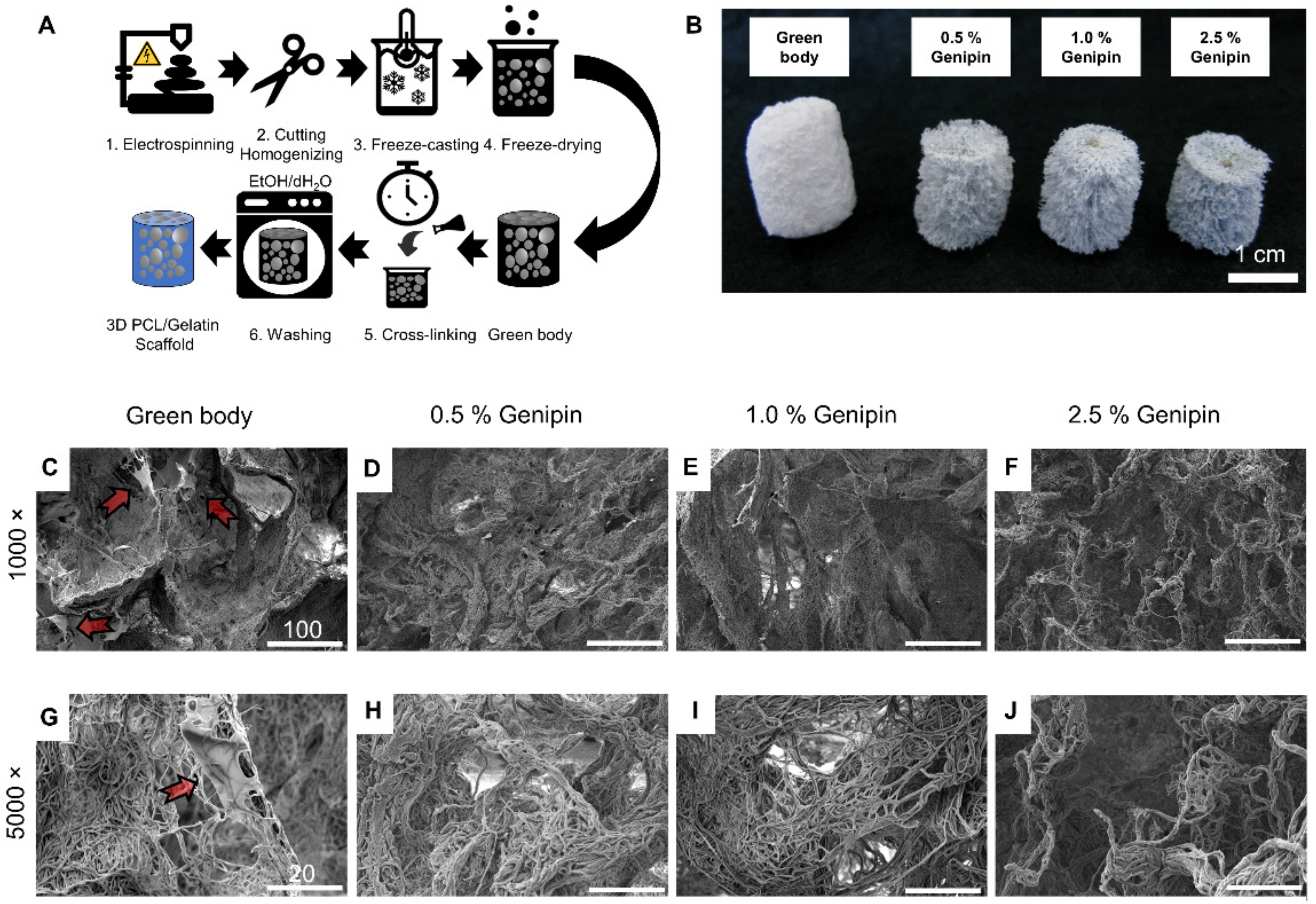 Materials 14 02006 g001