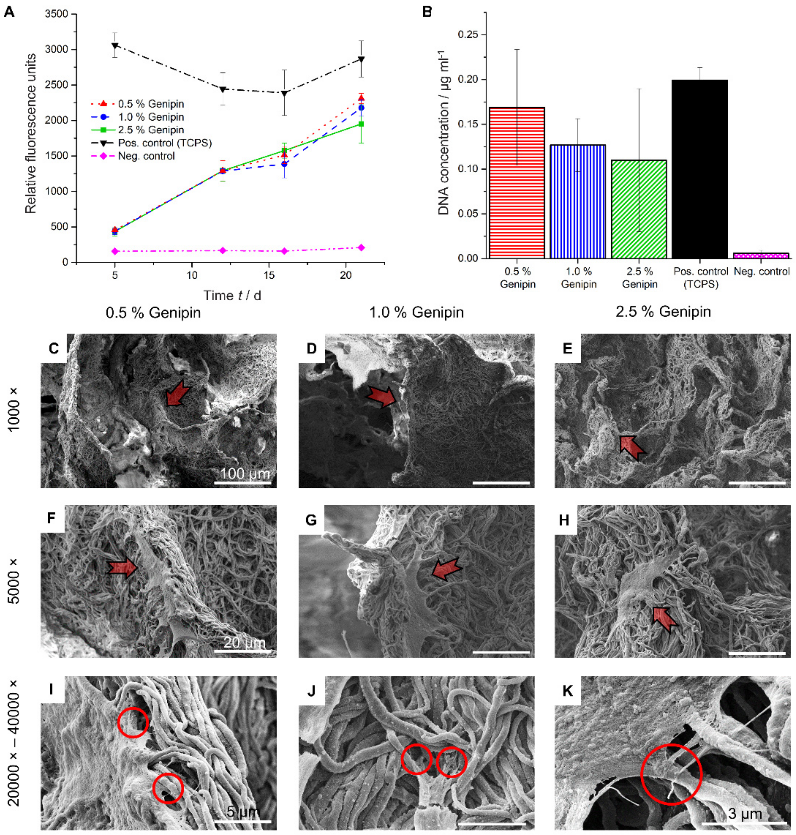 Materials 14 02006 g003