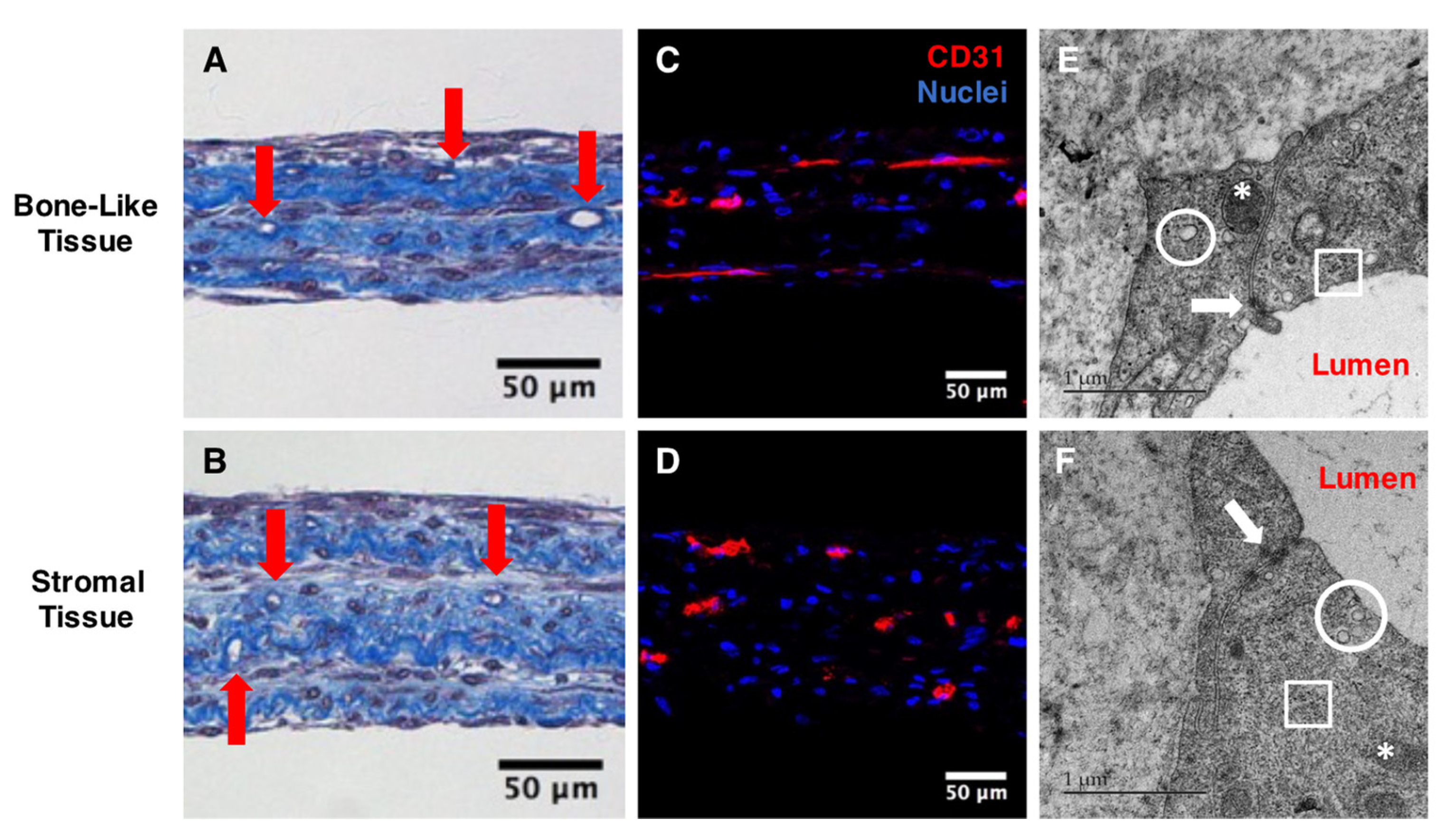 Materials 14 02023 g003 Materials 14 02023 g003