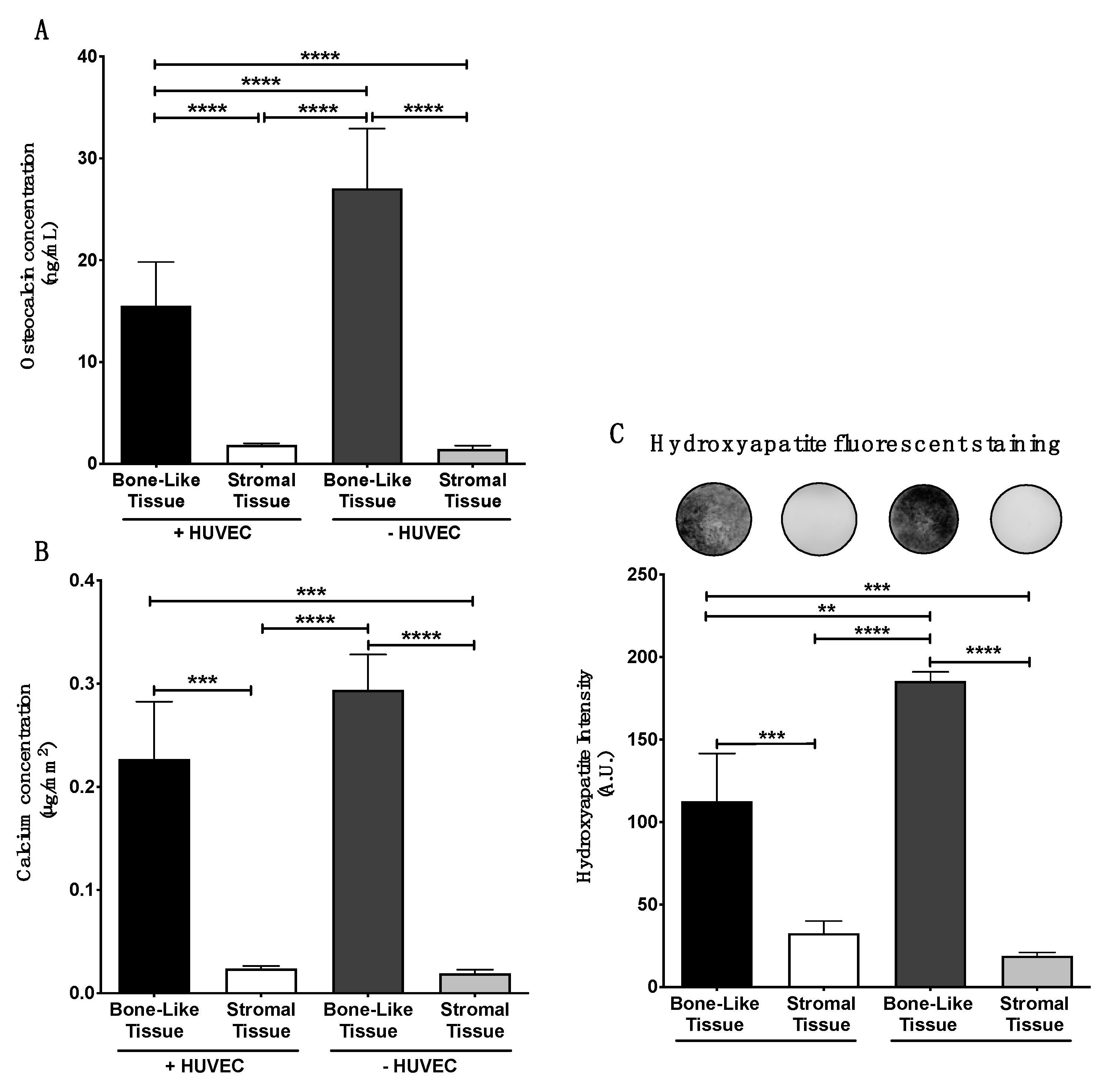 Materials 14 02023 g005 Materials 14 02023 g005