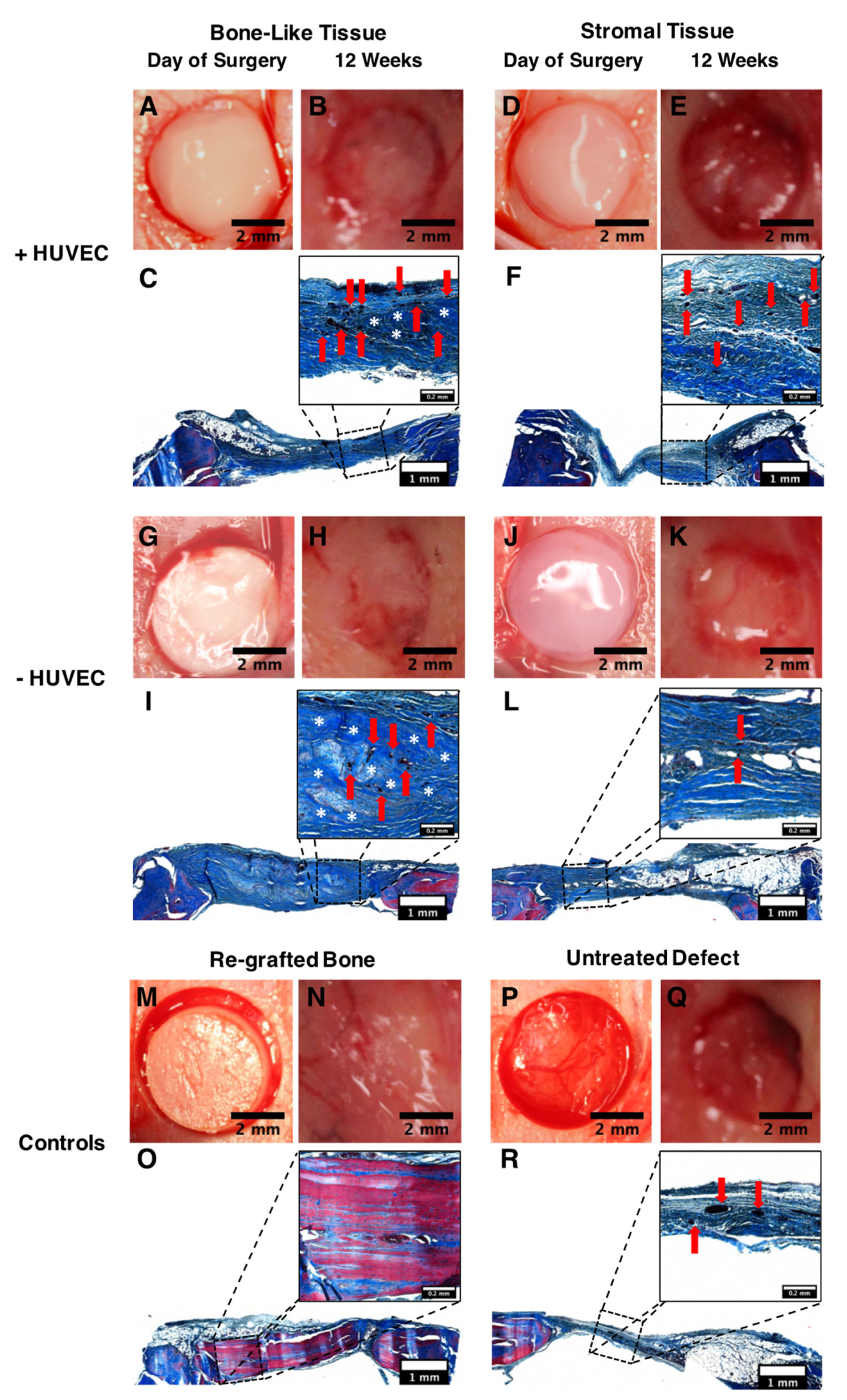 Materials 14 02023 g006 Materials 14 02023 g006