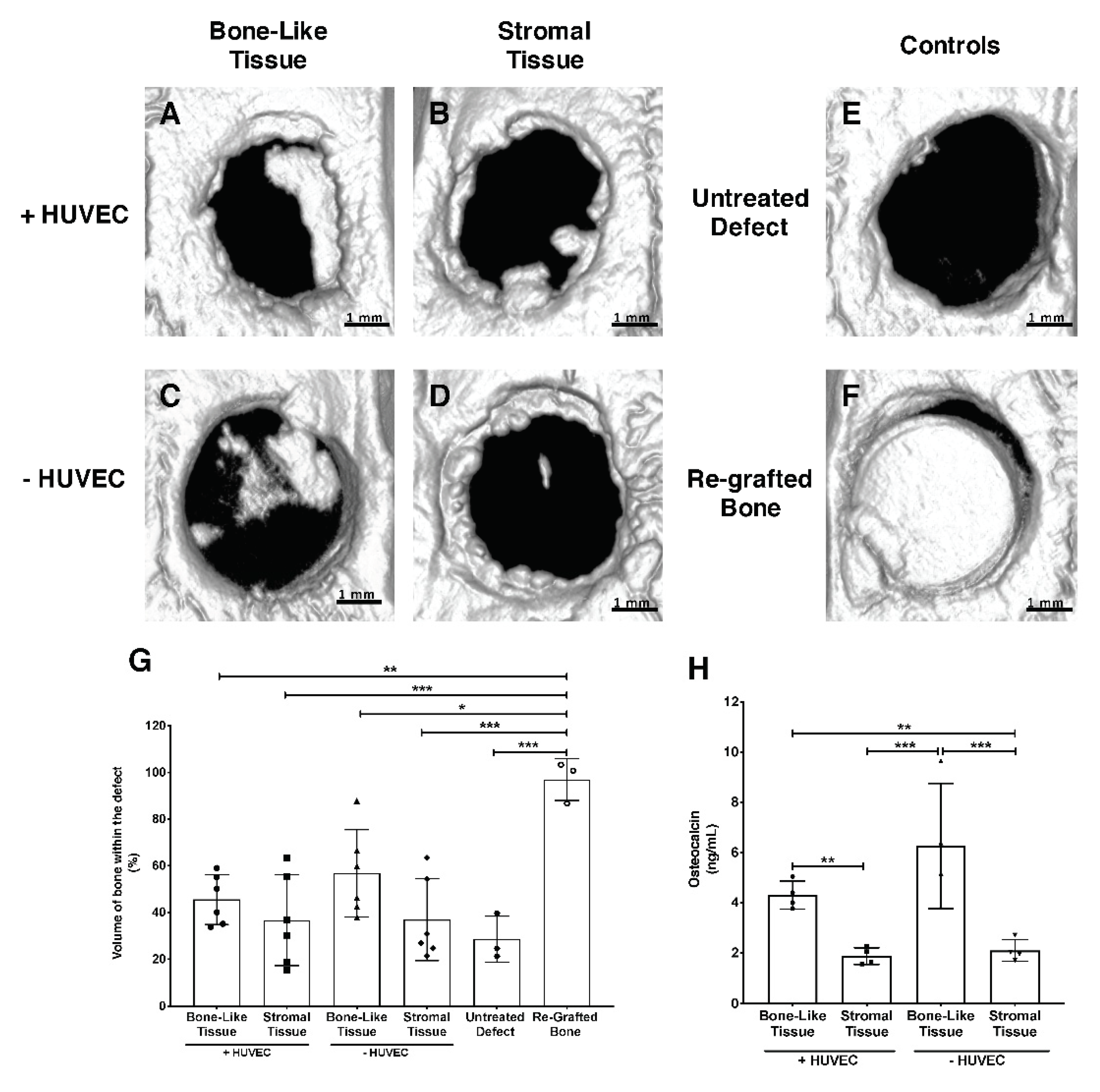 Materials 14 02023 g007 Materials 14 02023 g007