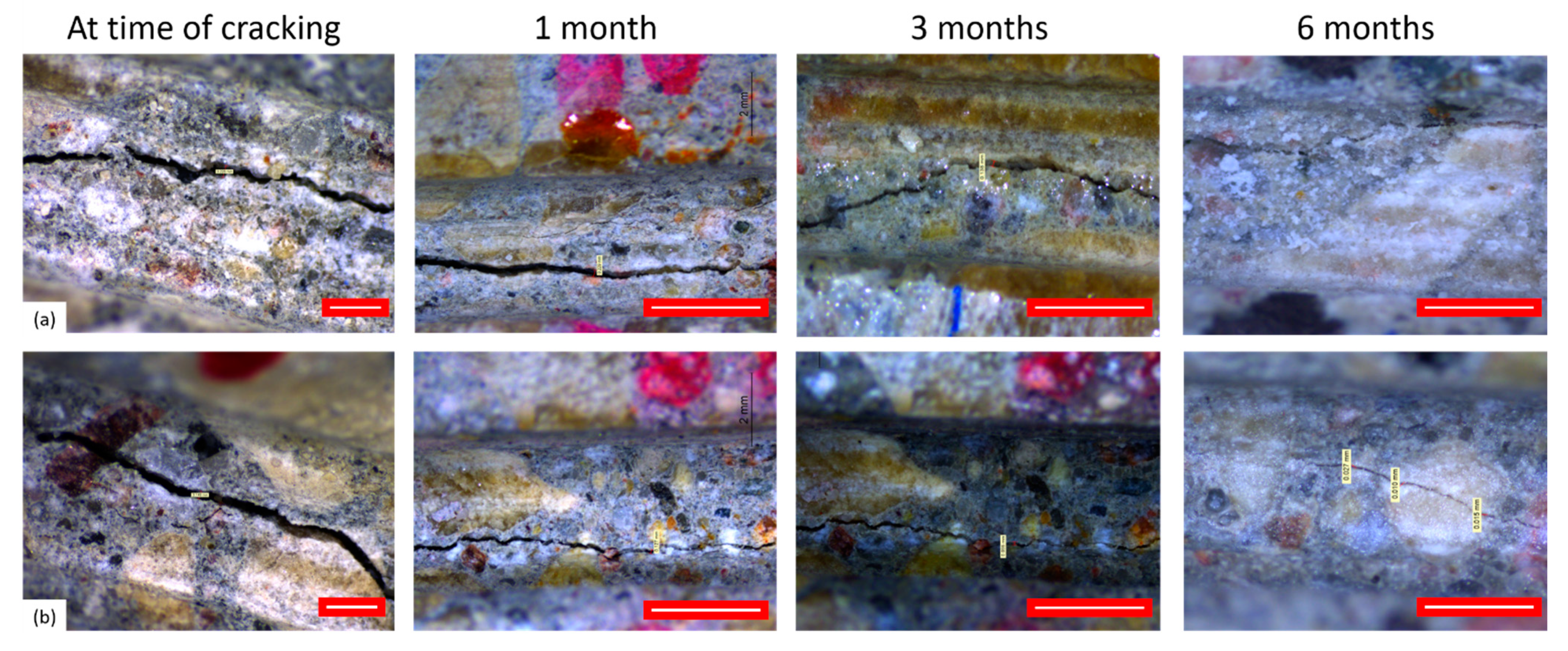 Materials 14 02024 g003