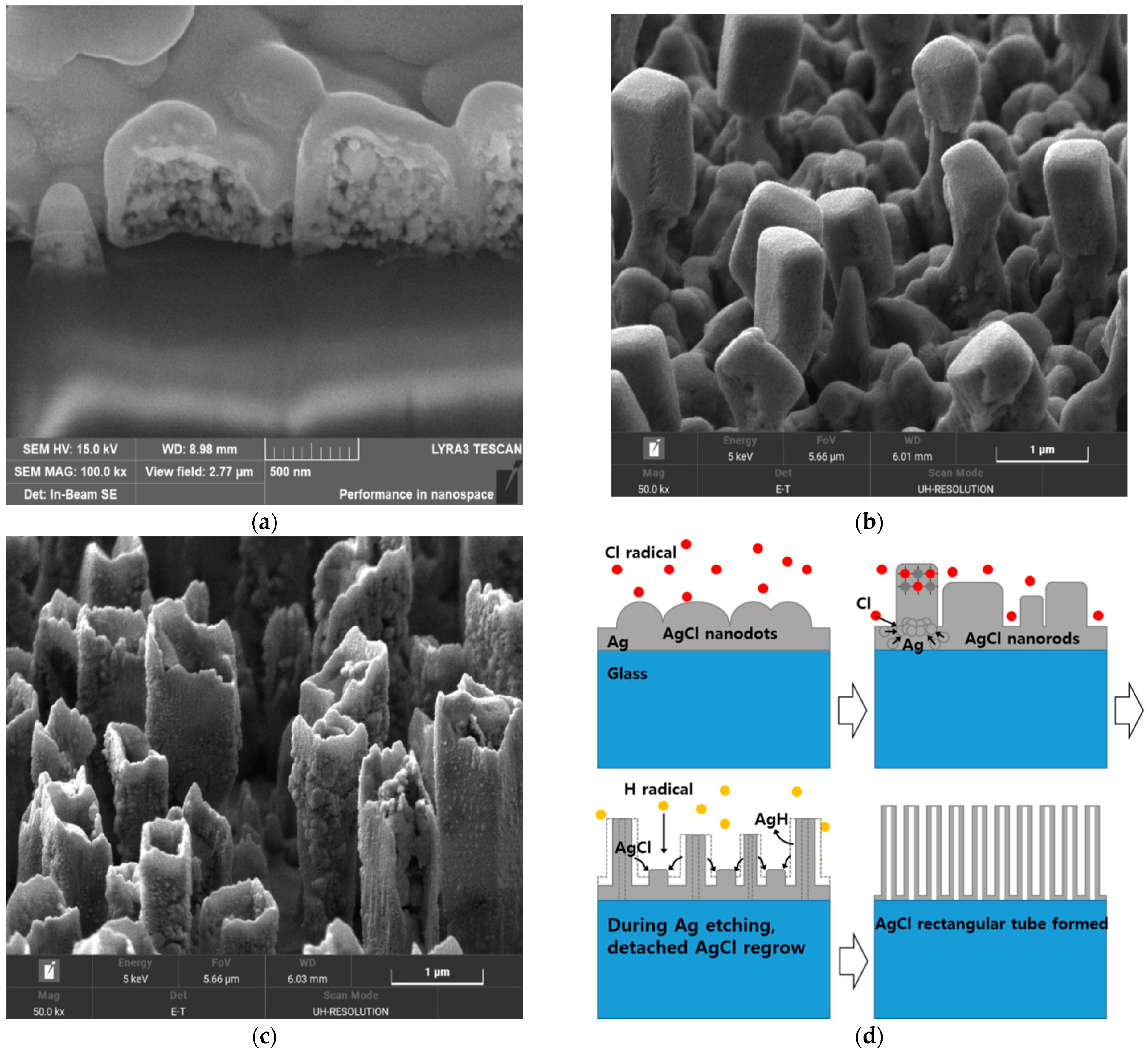 Materials 14 02025 g003
