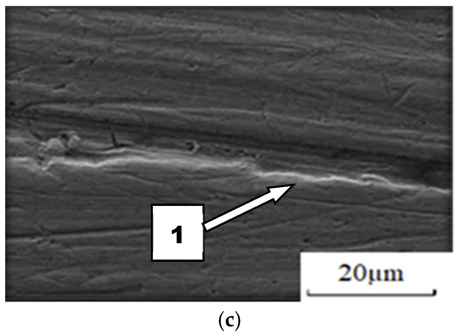 Materials 14 02043 g014b