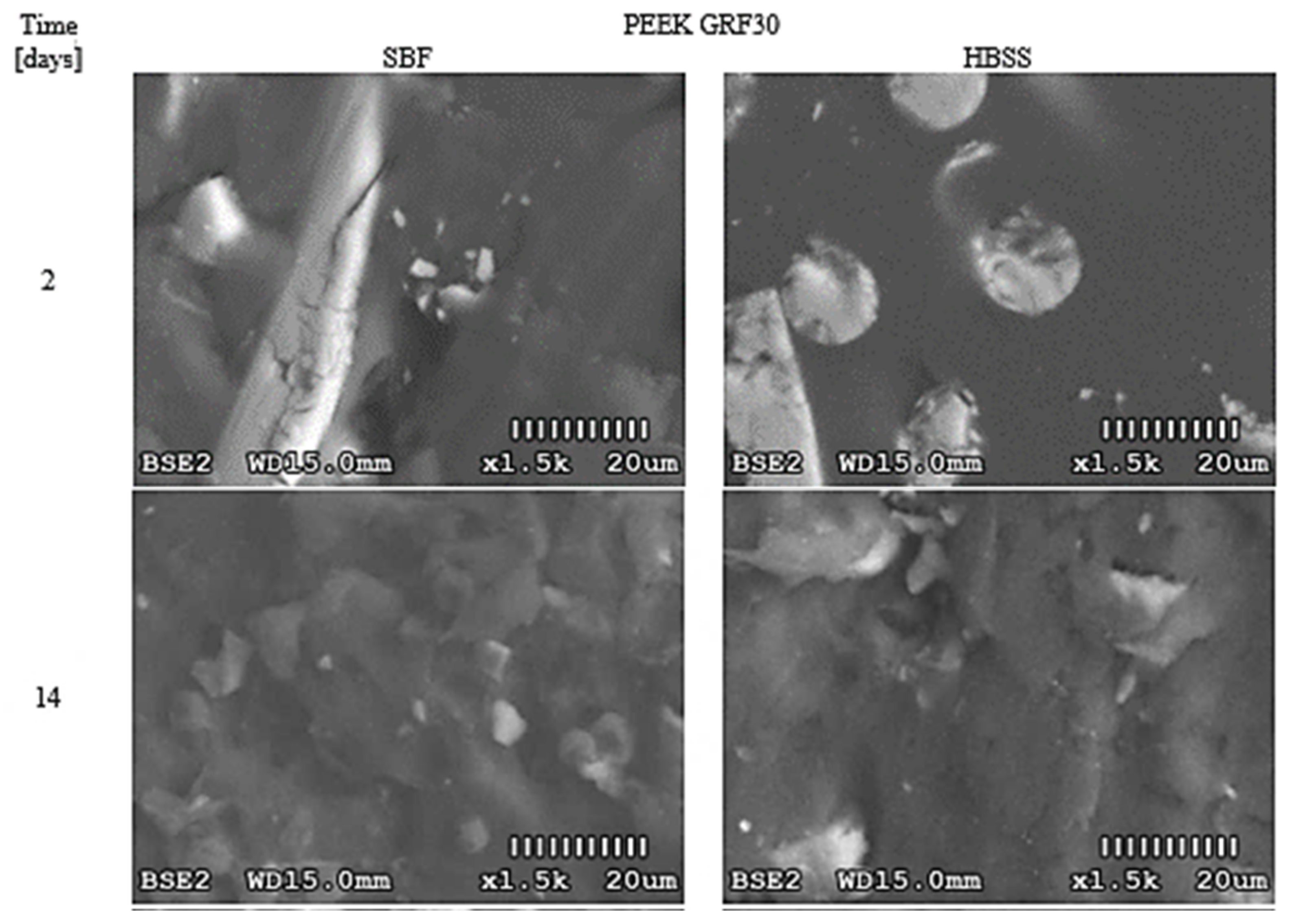 Materials 14 02059 g002a Materials 14 02059 g002a