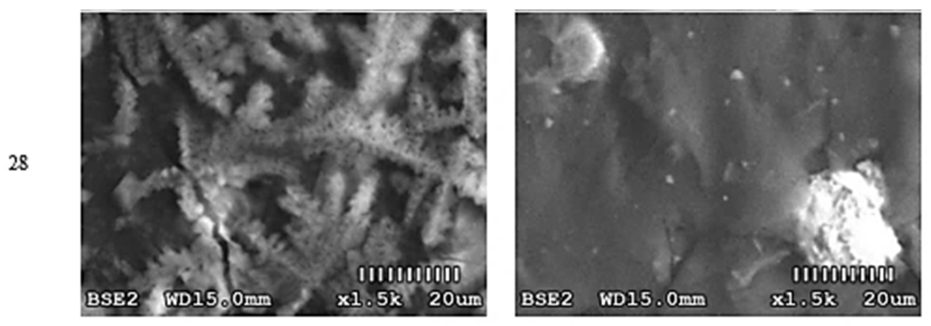 Materials 14 02059 g002b Materials 14 02059 g002b