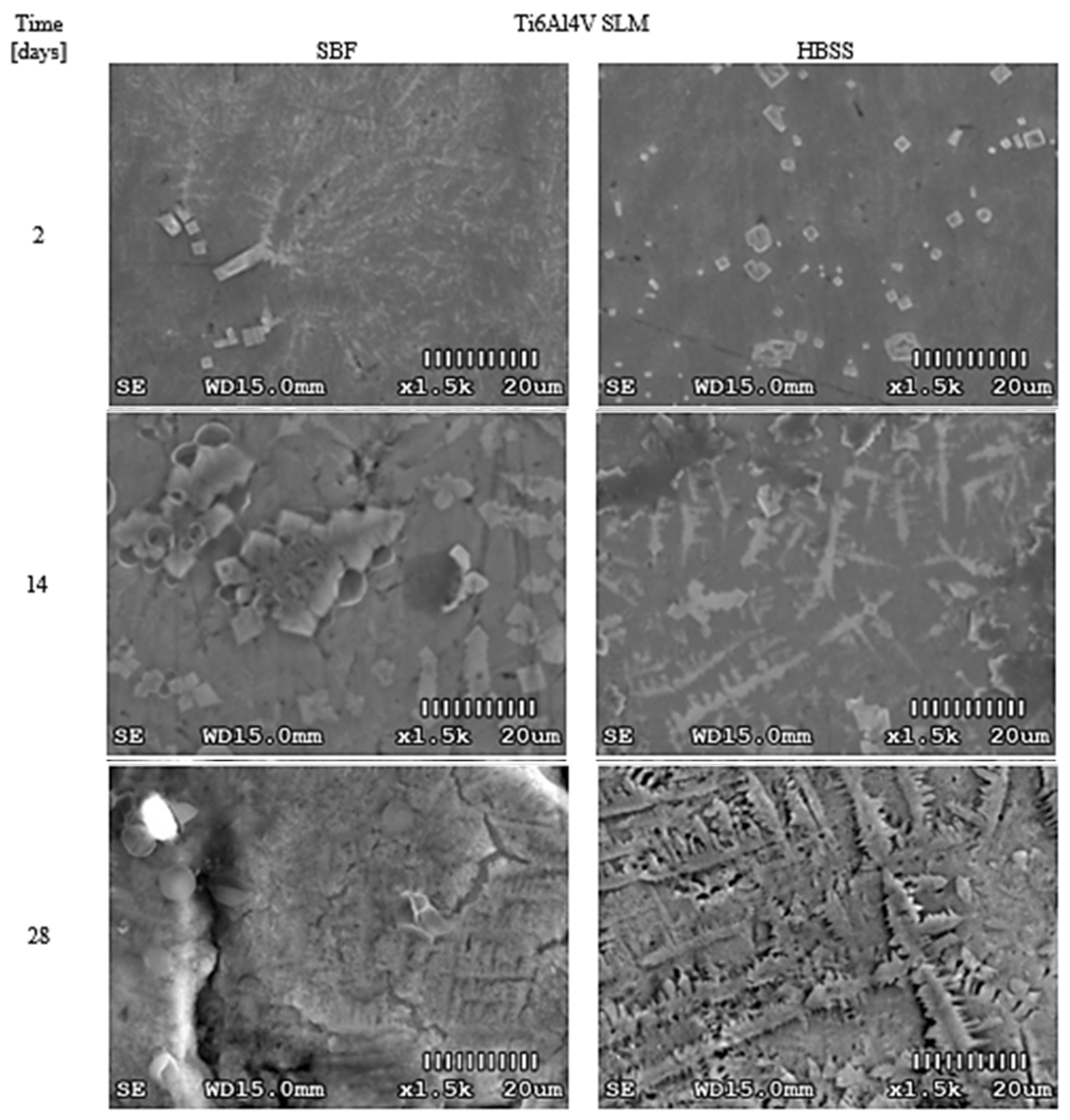 Materials 14 02059 g003 Materials 14 02059 g003