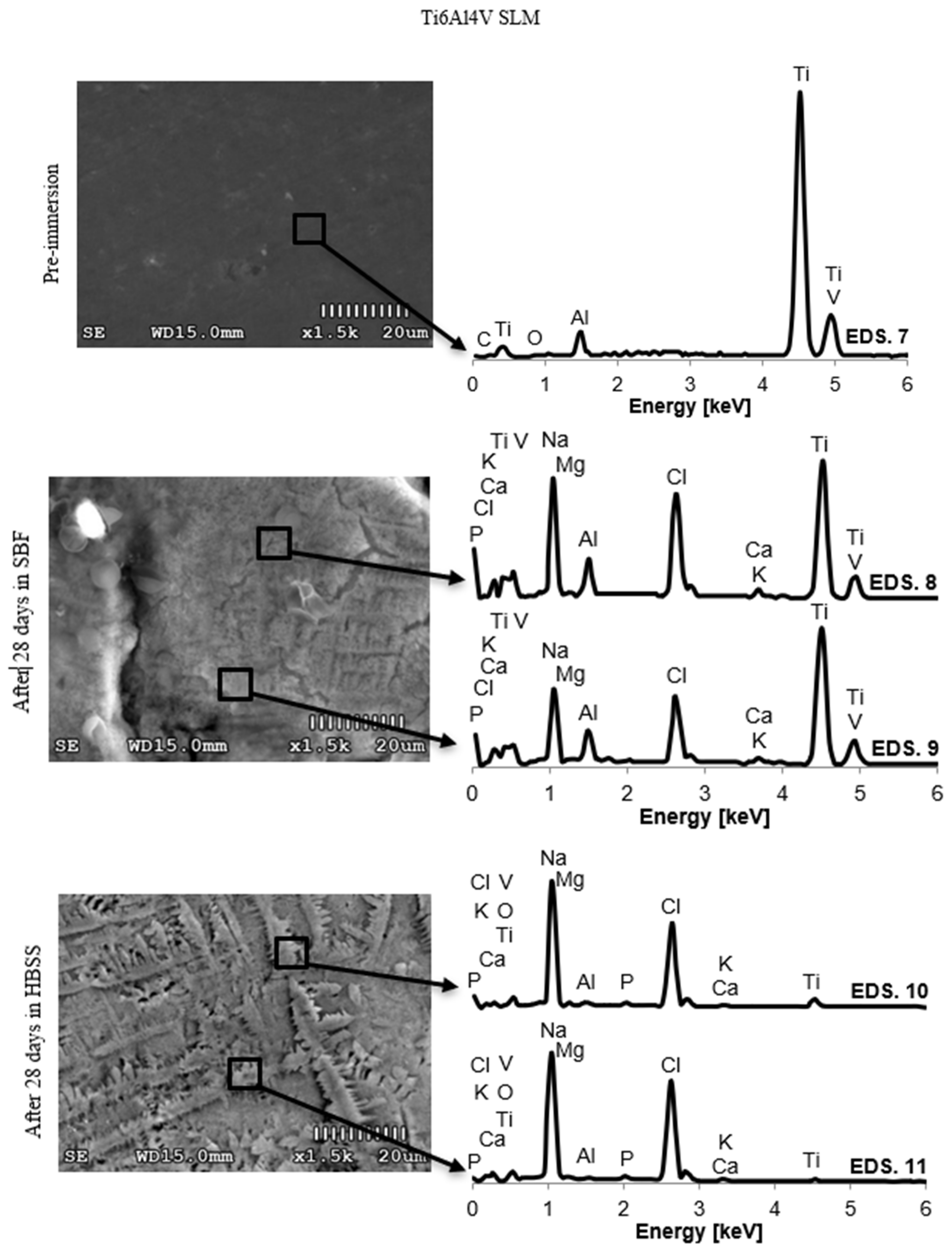 Materials 14 02059 g006 Materials 14 02059 g006