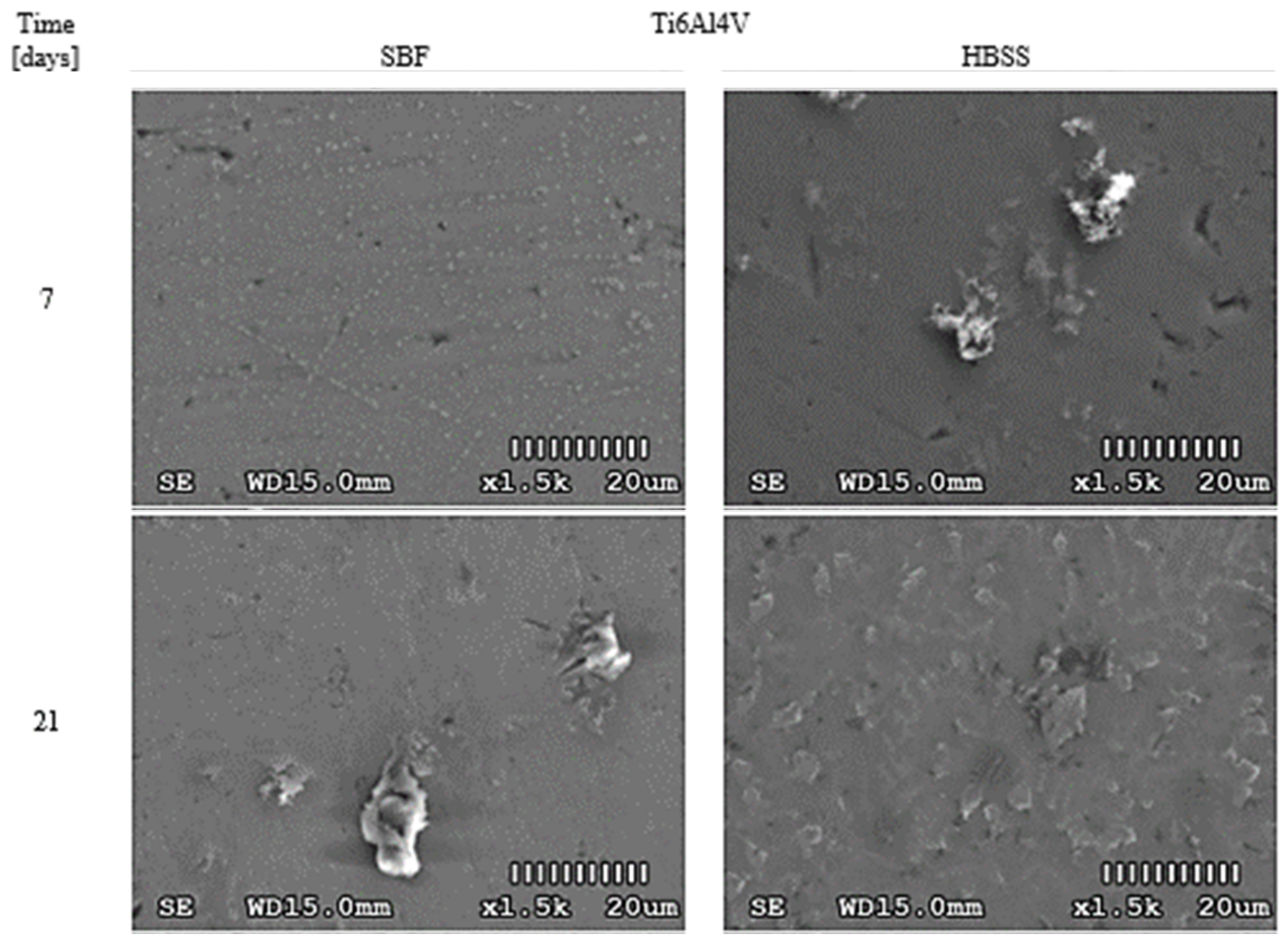 Materials 14 02059 g0a3 Materials 14 02059 g0a3