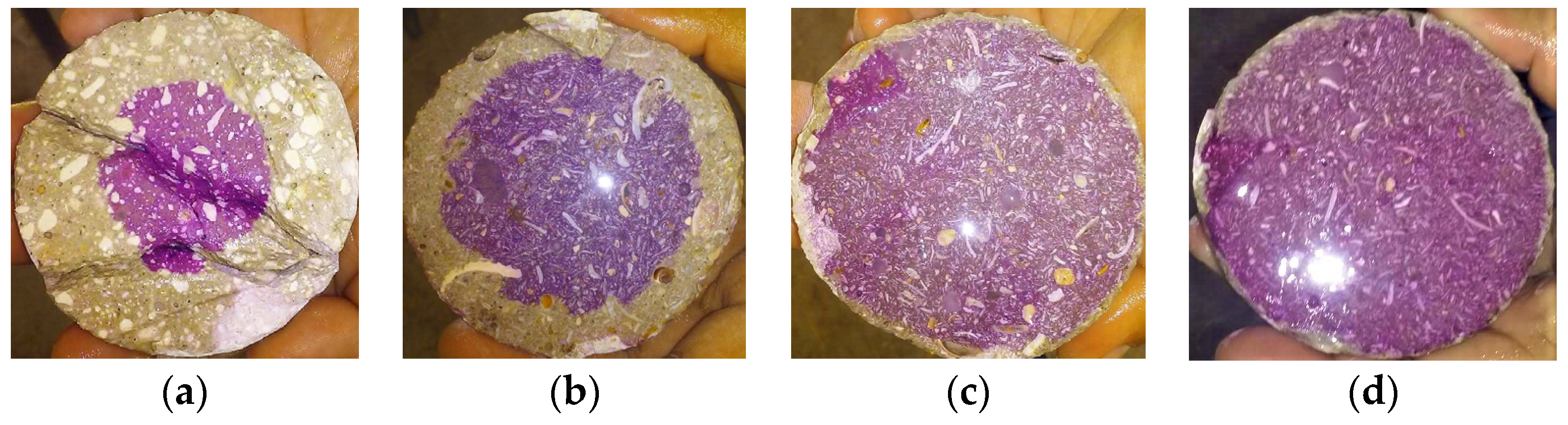 Materials 14 02066 g005