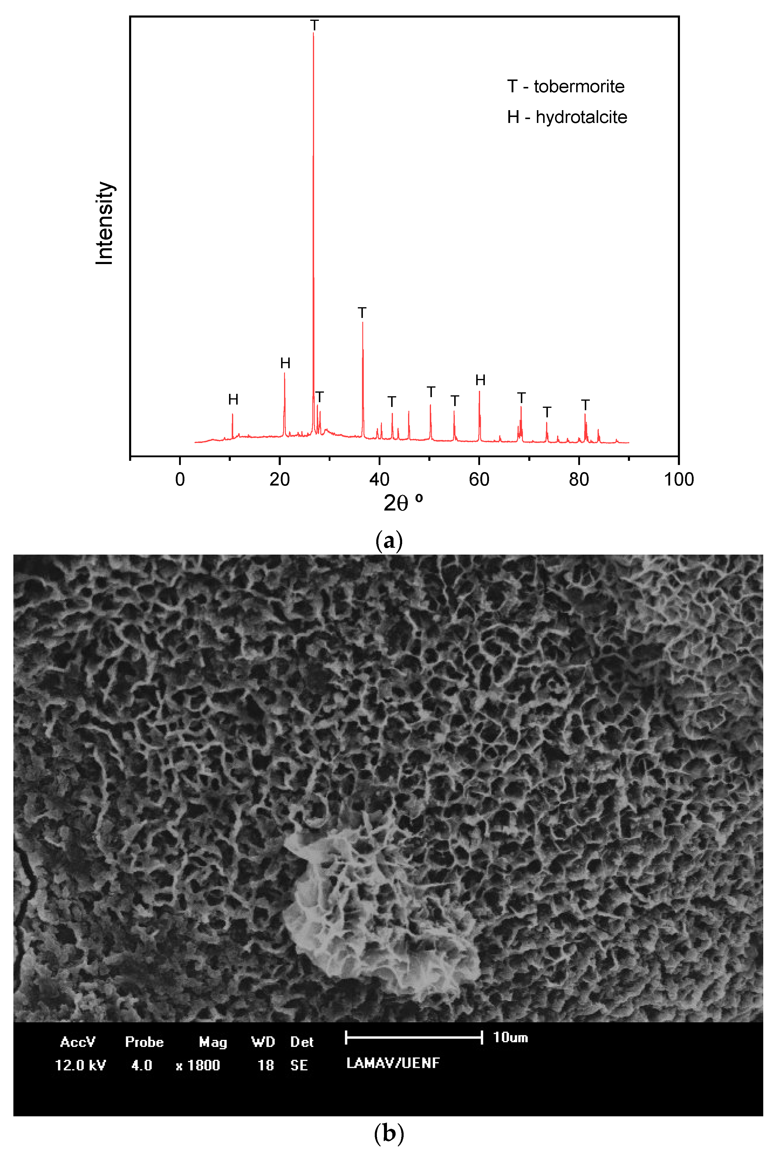 Materials 14 02069 g008