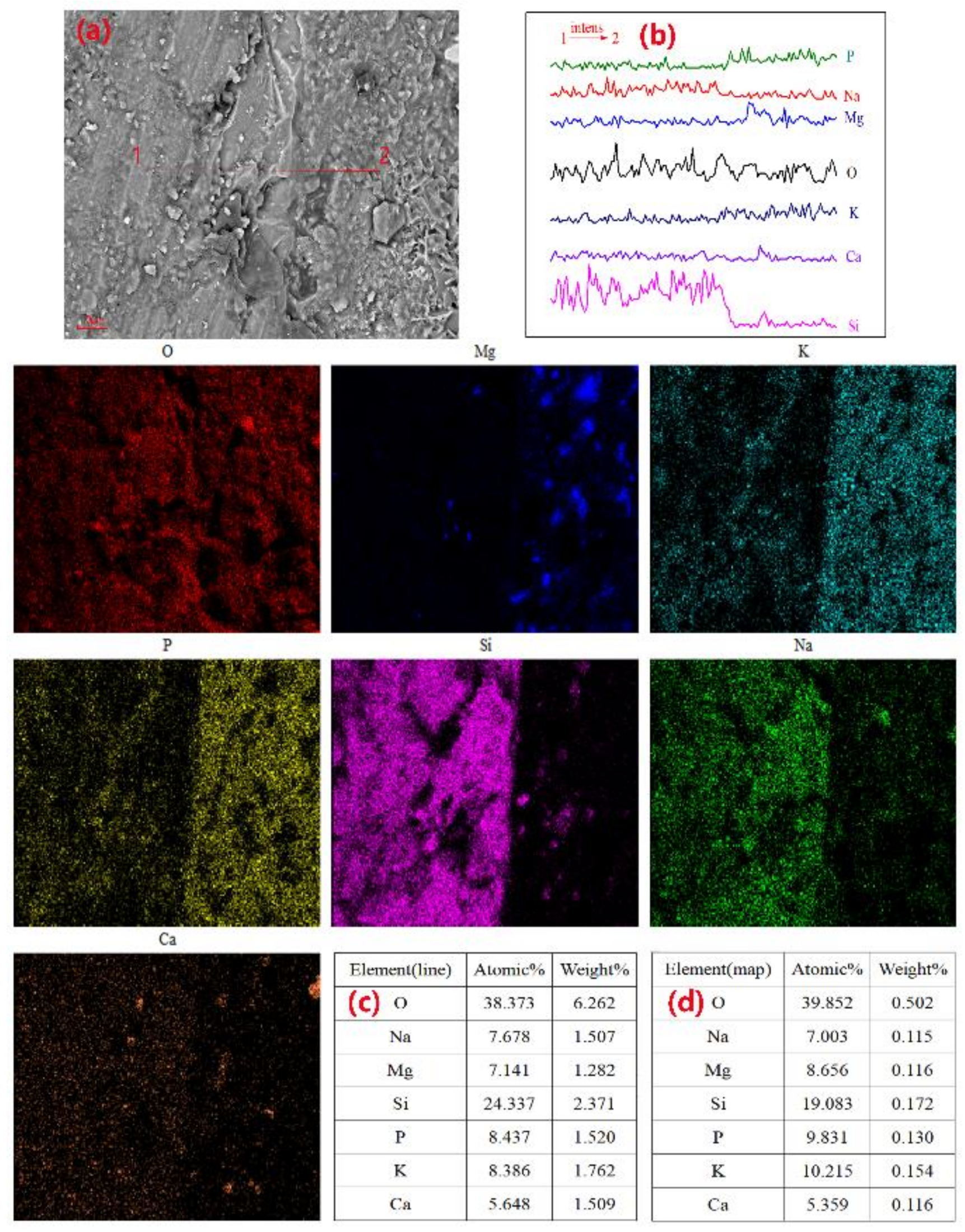 Materials 14 02073 g014