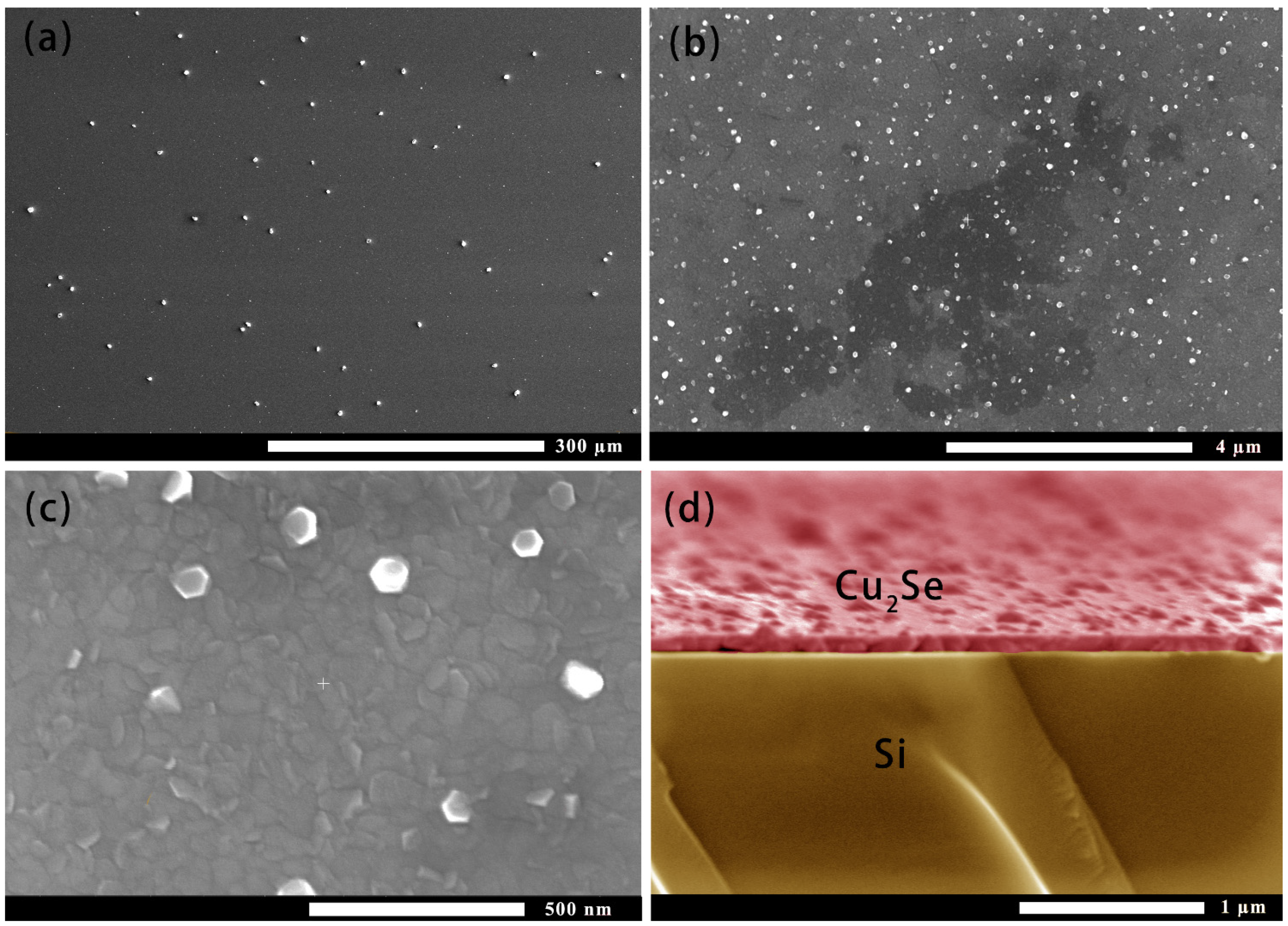 Materials 14 02075 g001