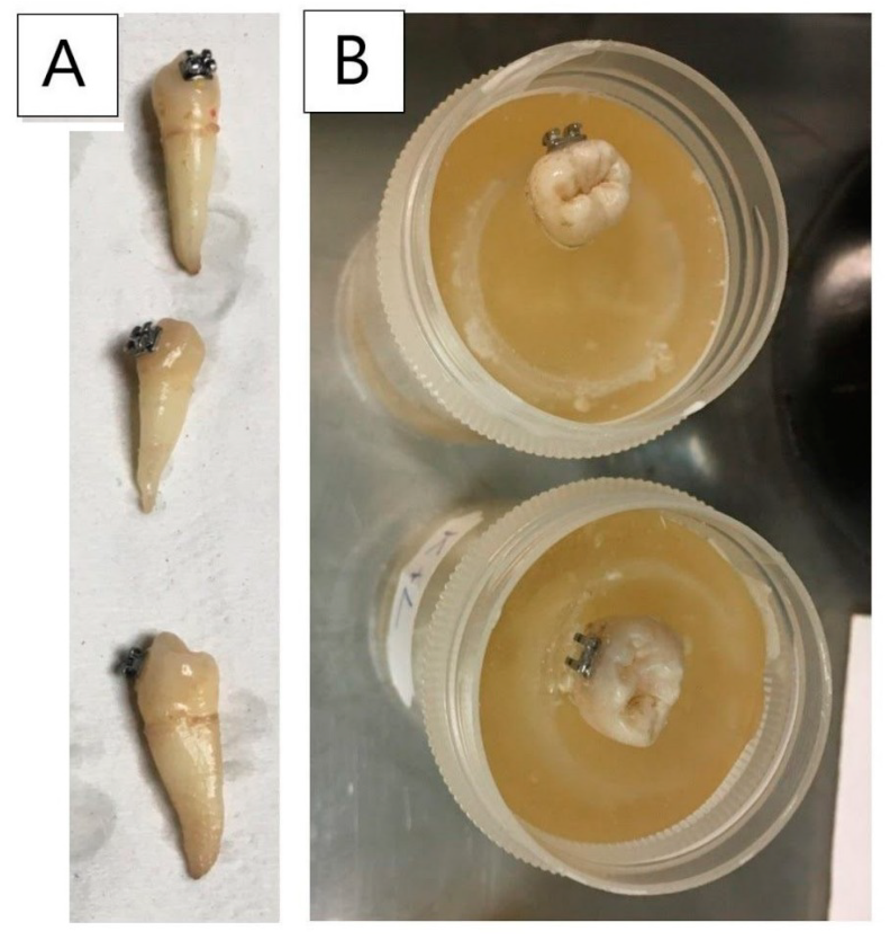 Materials 14 02093 g001 Materials 14 02093 g001