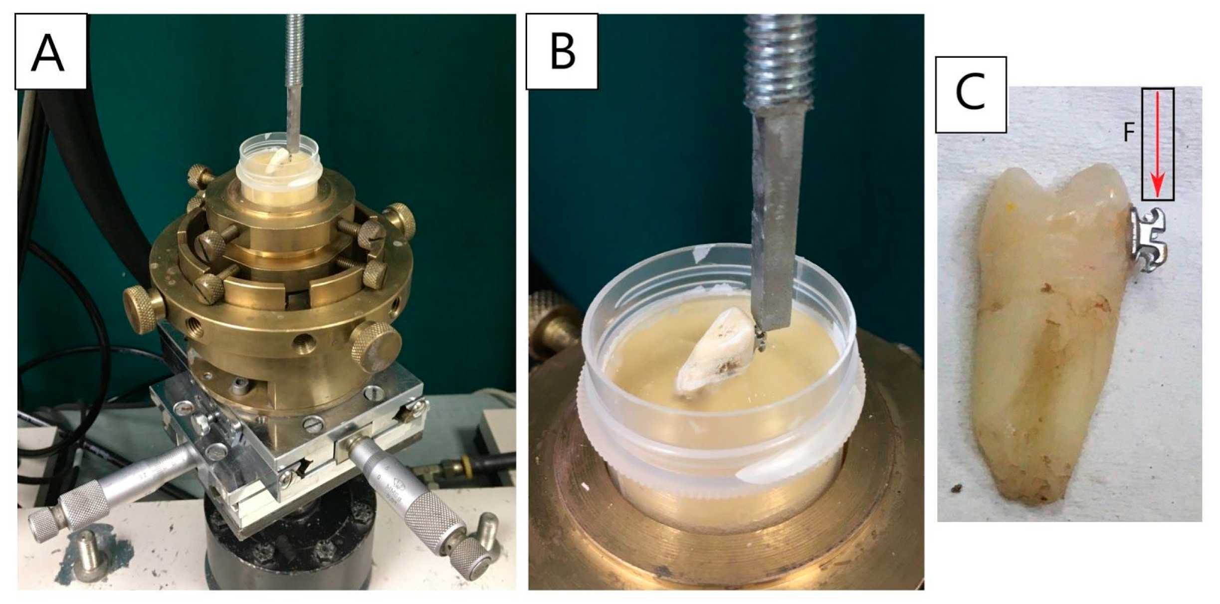 Materials 14 02093 g002 Materials 14 02093 g002