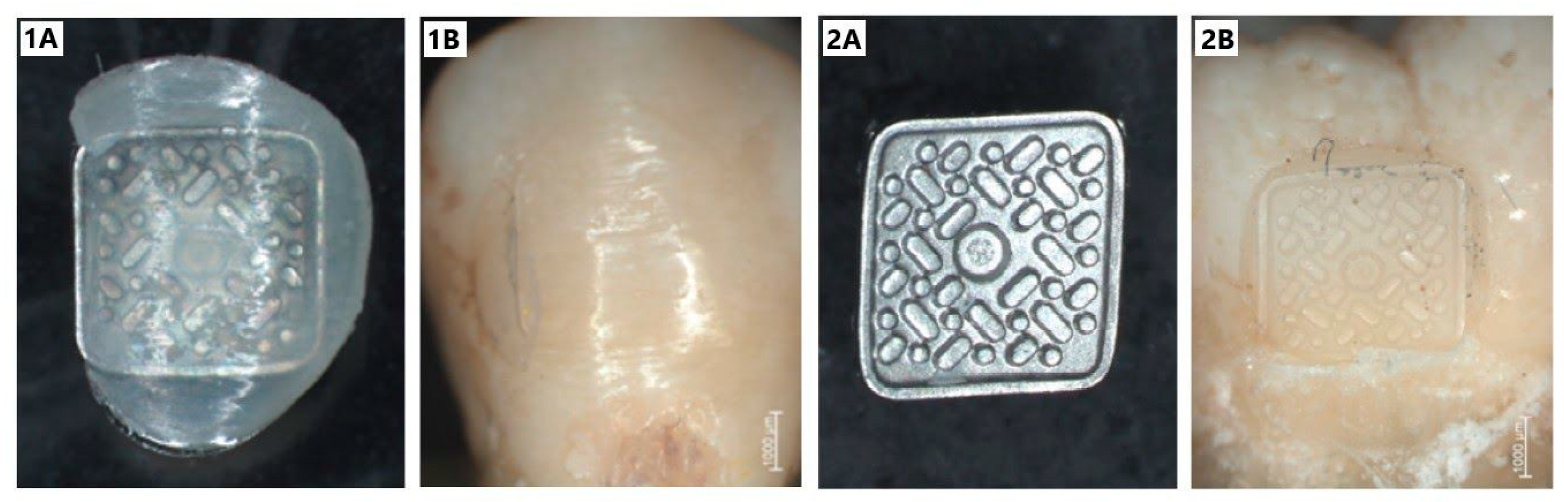 Materials 14 02093 g005 Materials 14 02093 g005