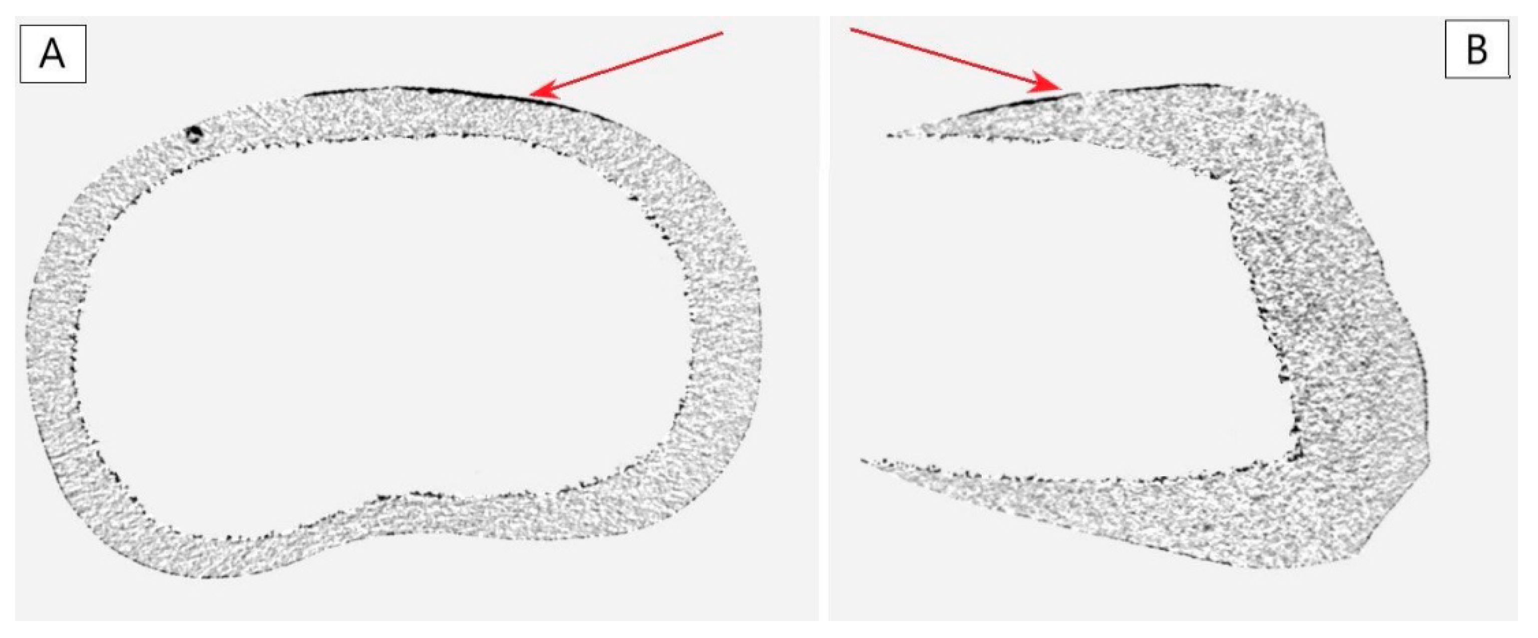 Materials 14 02093 g006 Materials 14 02093 g006