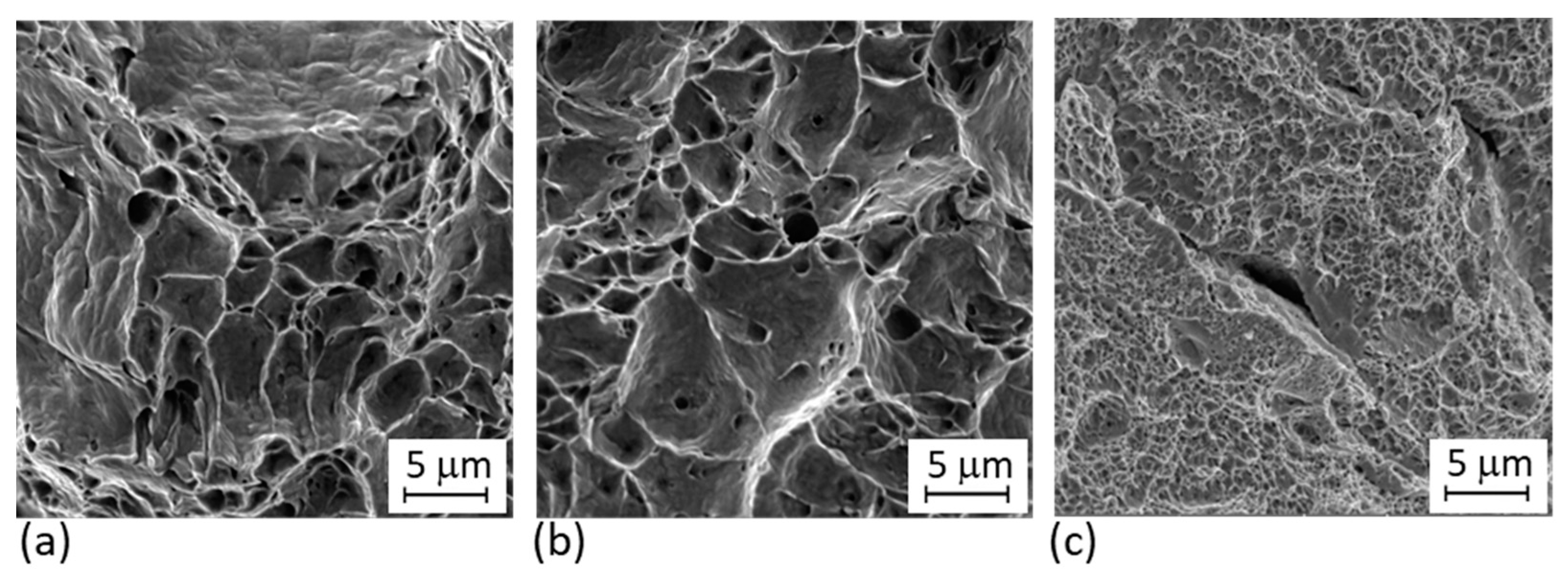 Materials 14 02105 g017 Materials 14 02105 g017