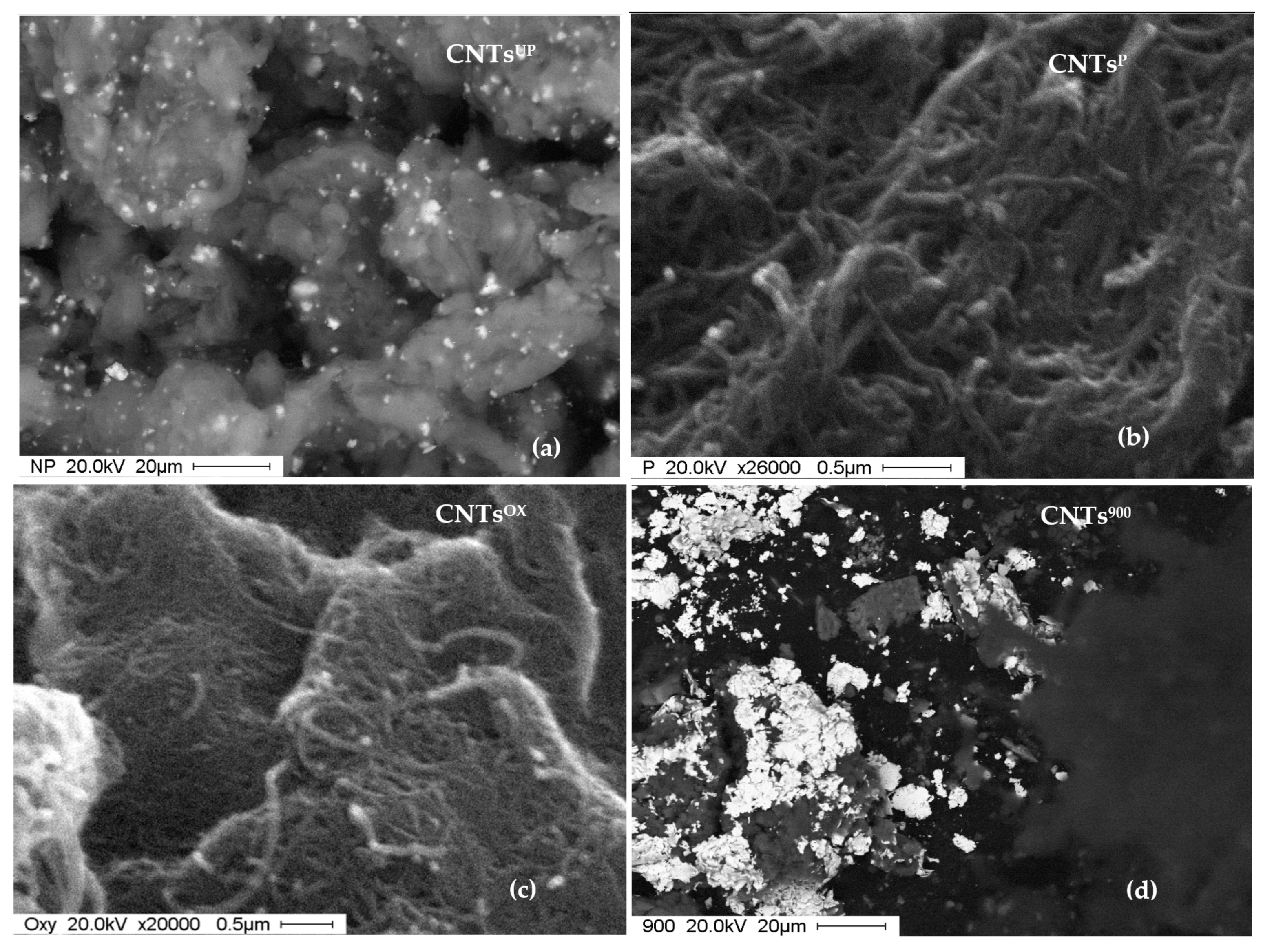 Materials 14 02118 g010