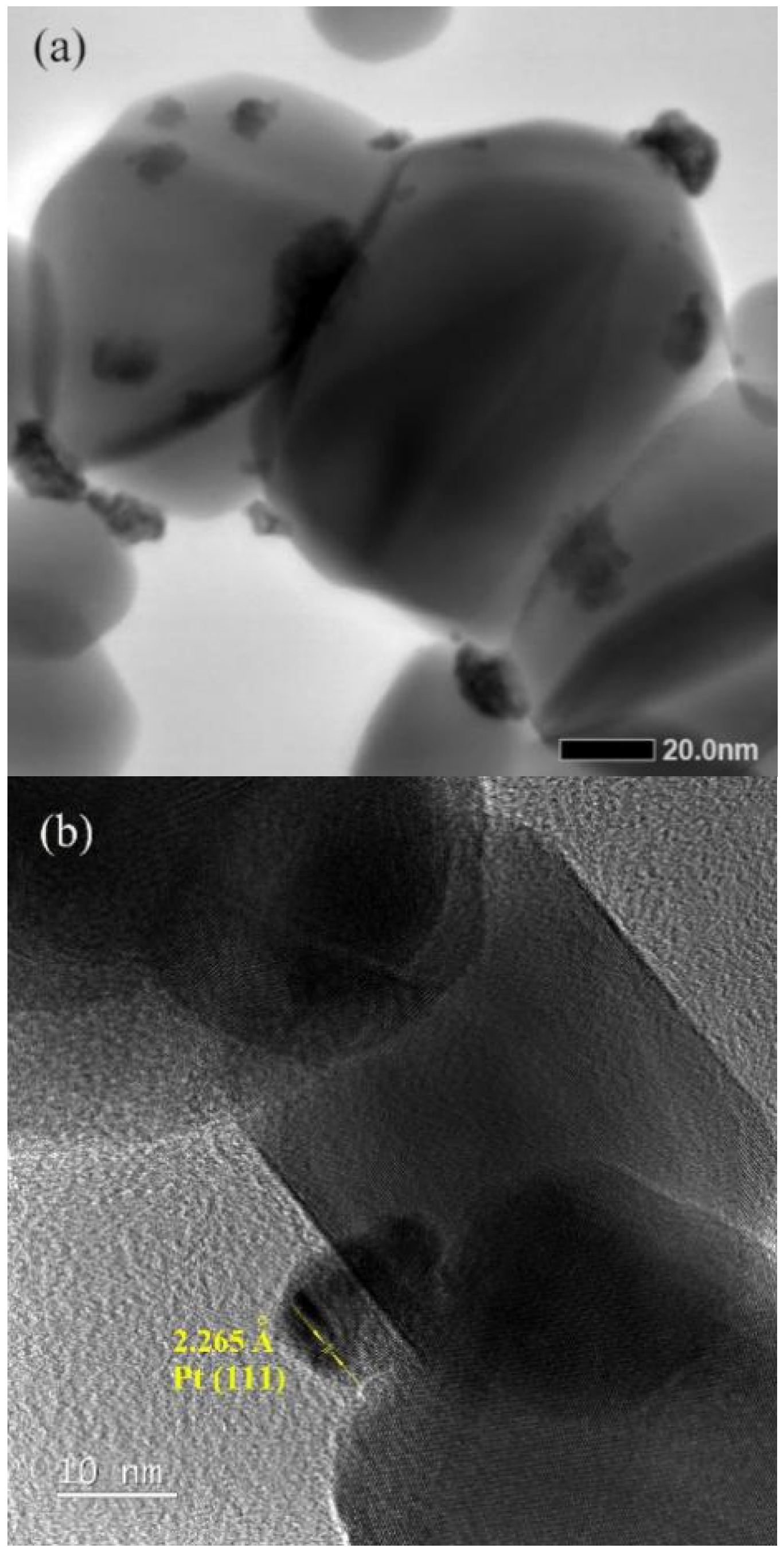 Materials 14 02123 g002 550