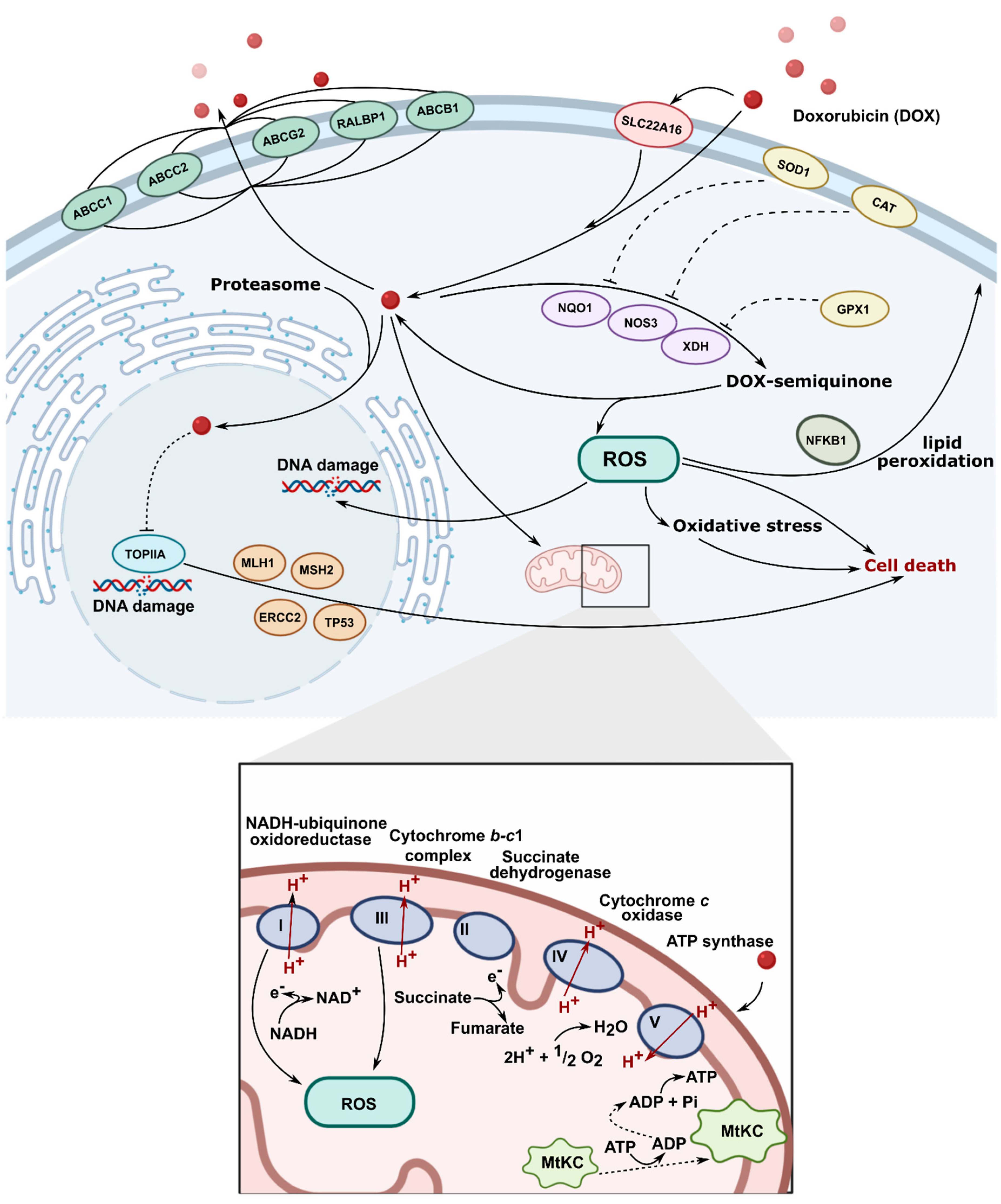 Materials 14 02135 g002