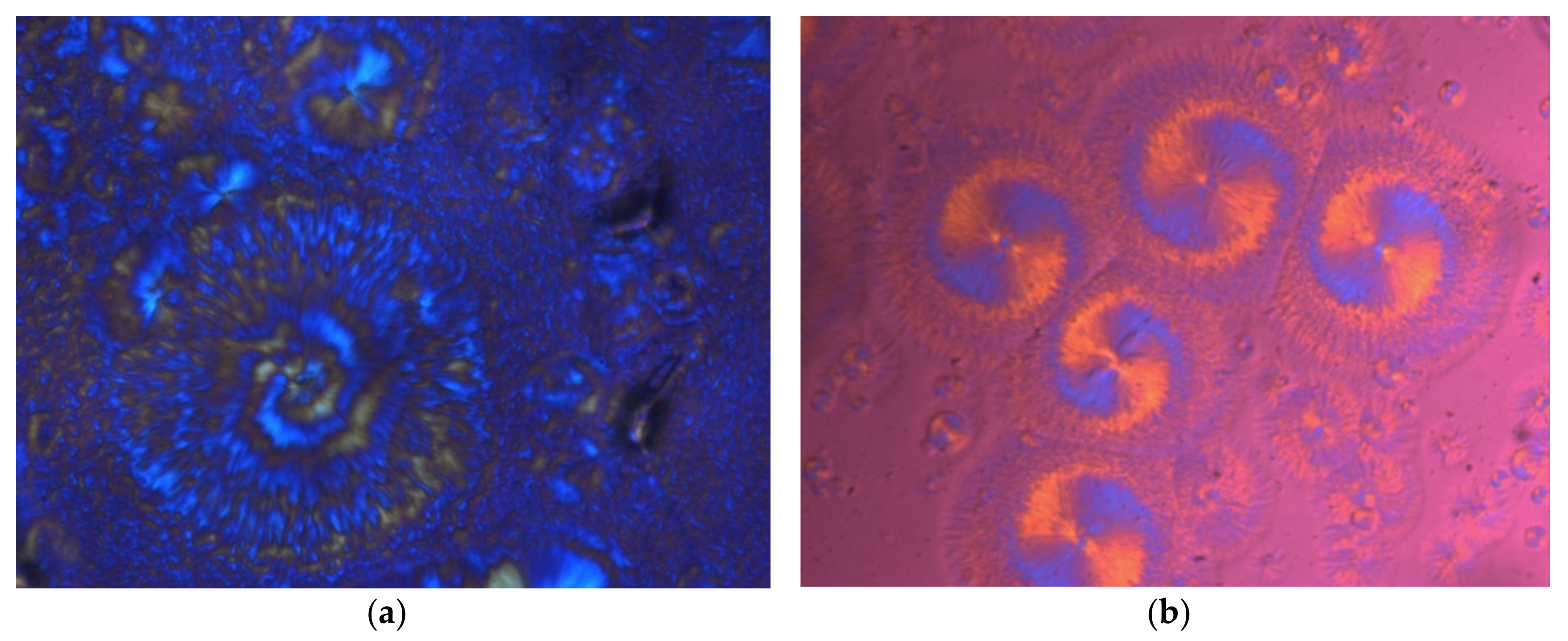 Materials 14 02136 g005