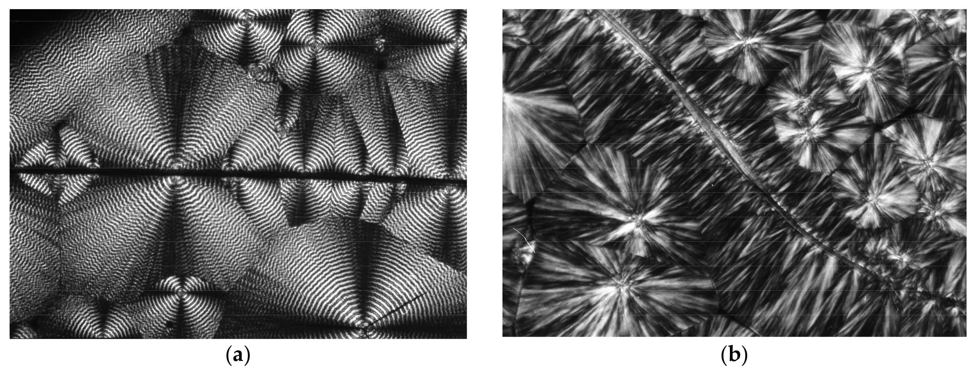 Materials 14 02136 g007