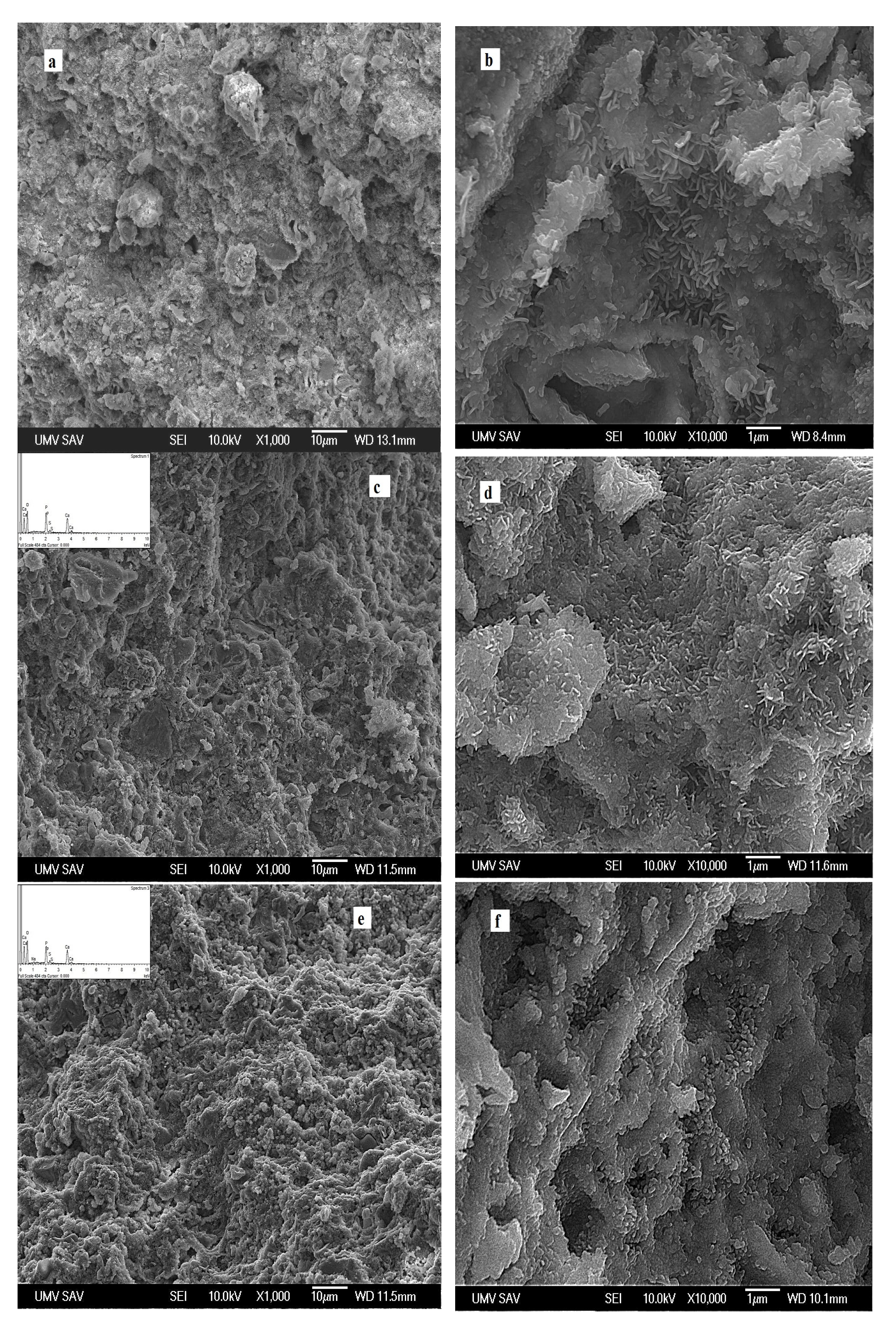 Materials 14 02137 g002a