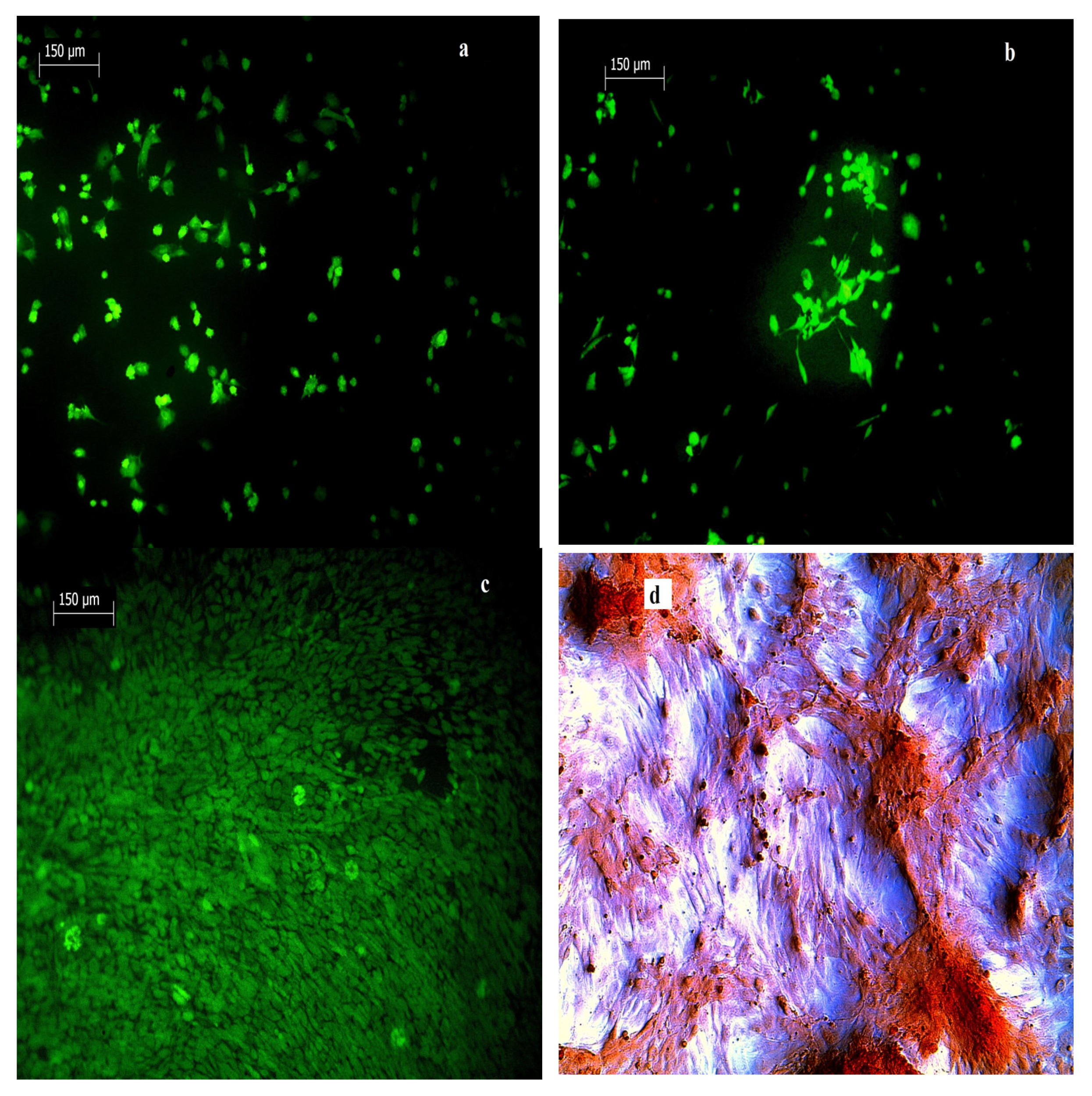 Materials 14 02137 g005a