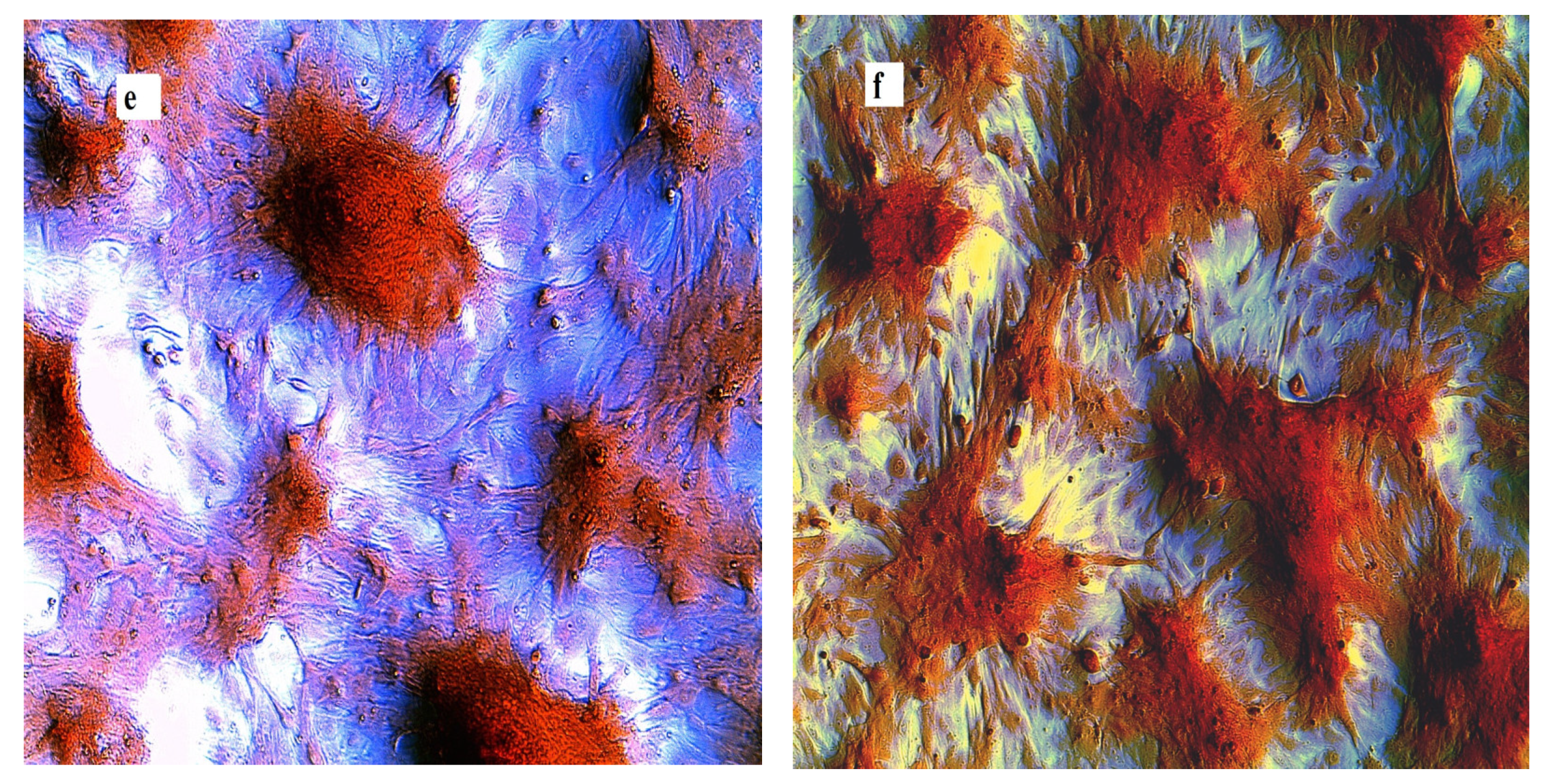 Materials 14 02137 g005b