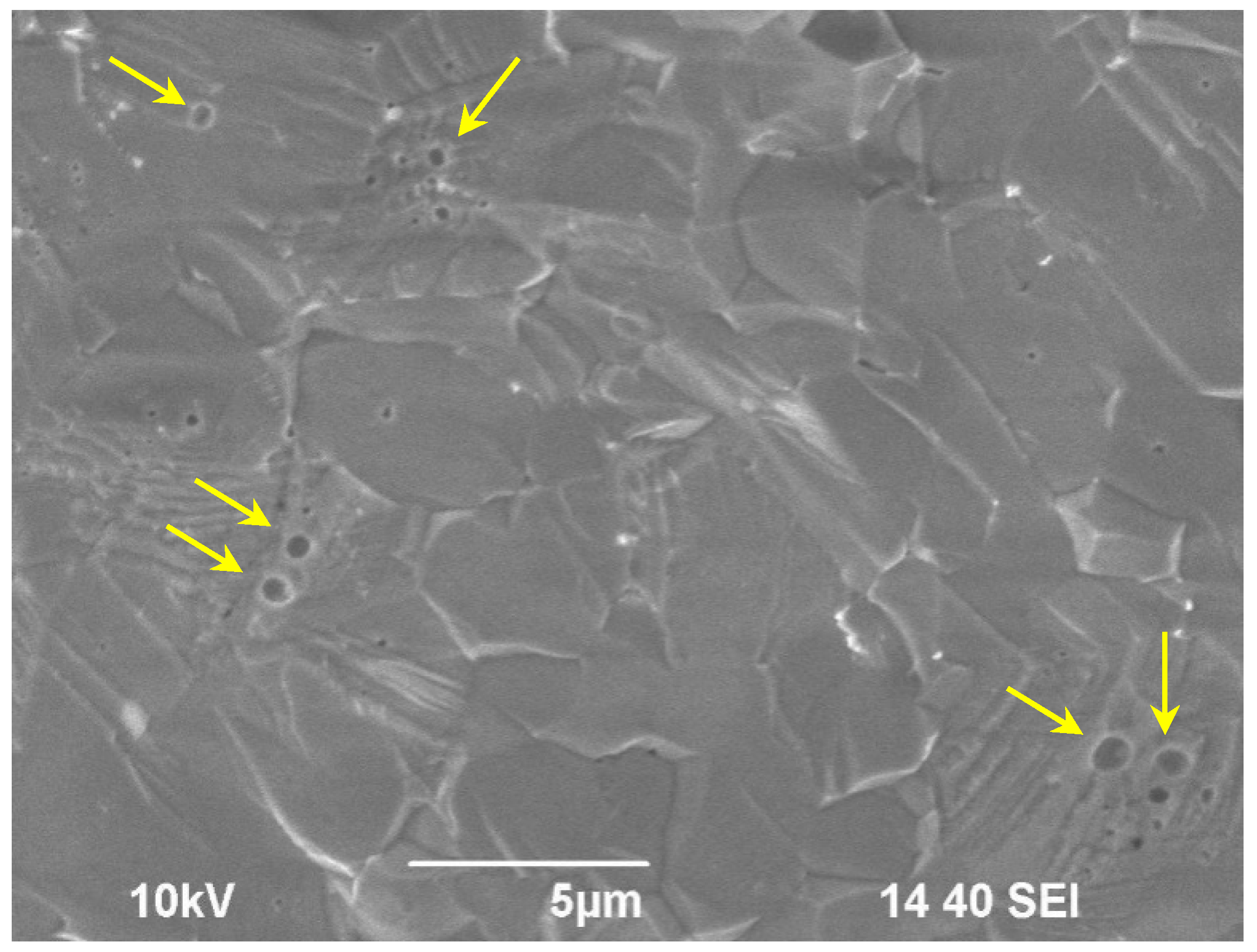 Materials 14 02152 g001 Materials 14 02152 g001