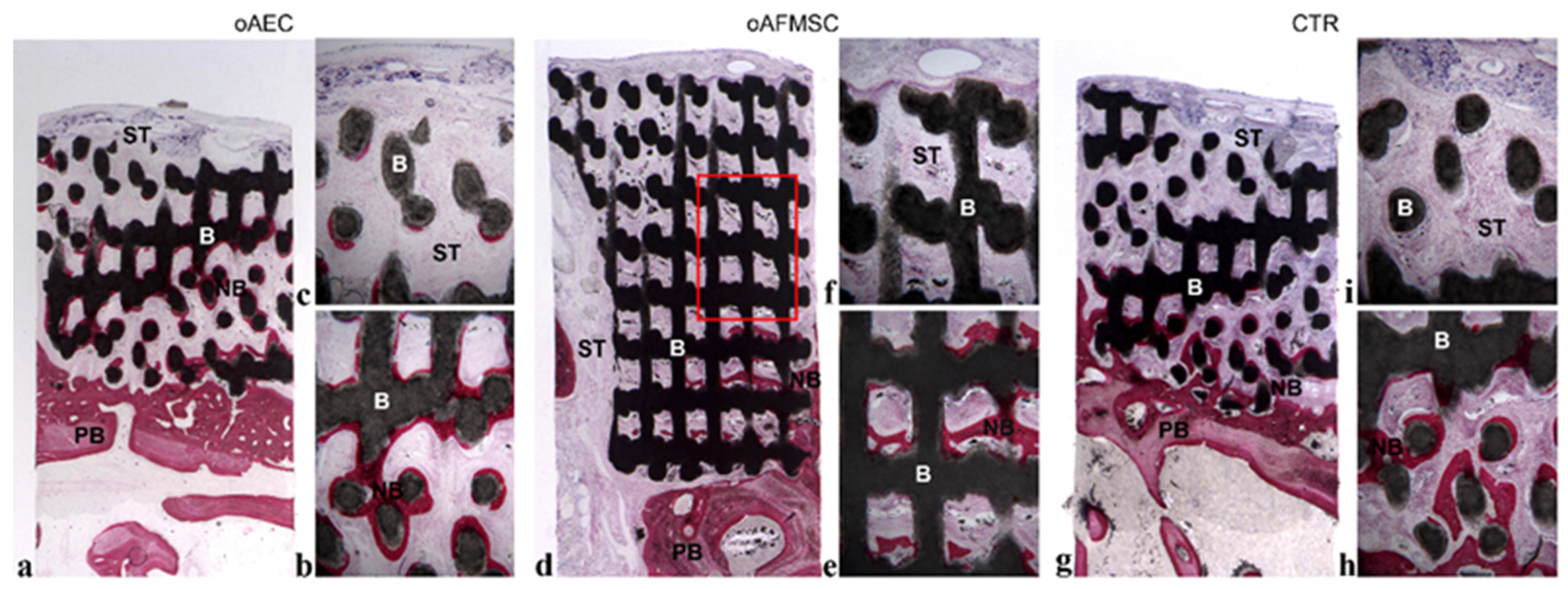 Materials 14 02159 g001