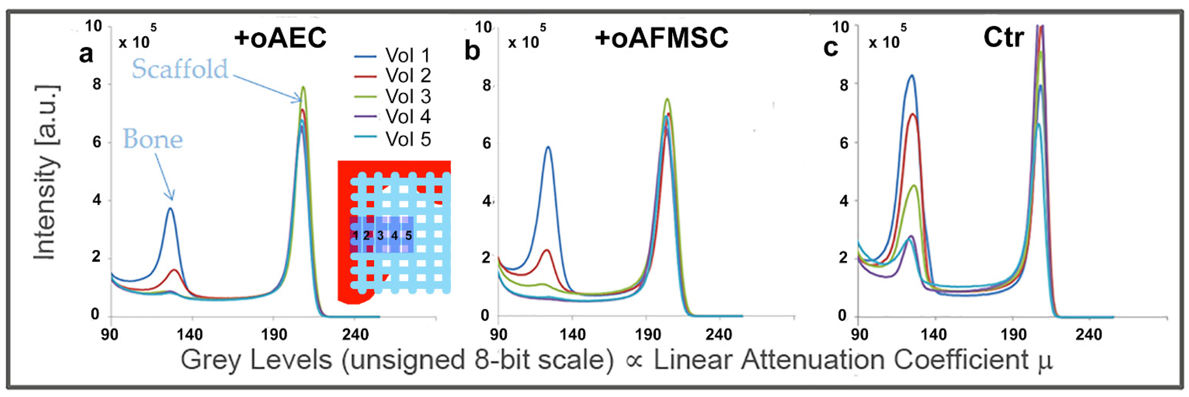 Materials 14 02159 g003