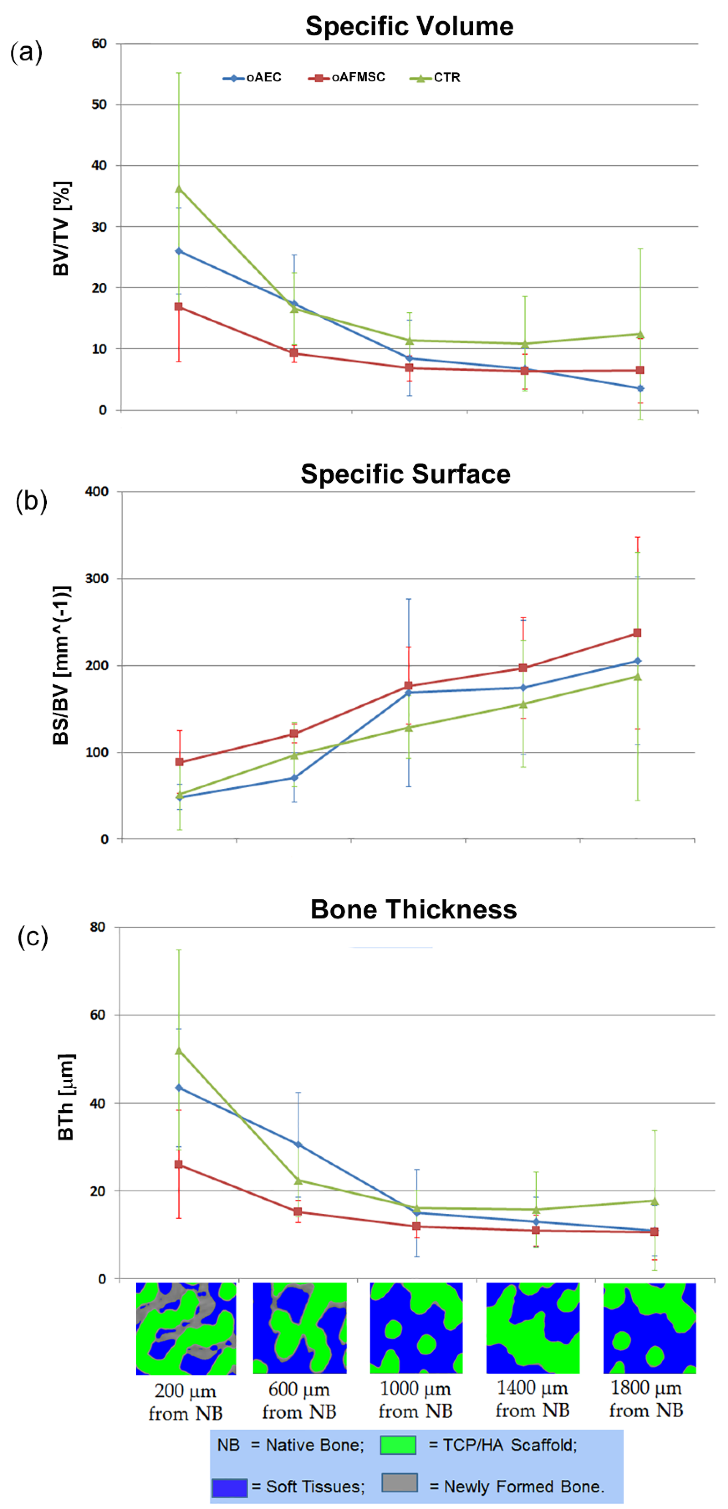 Materials 14 02159 g004