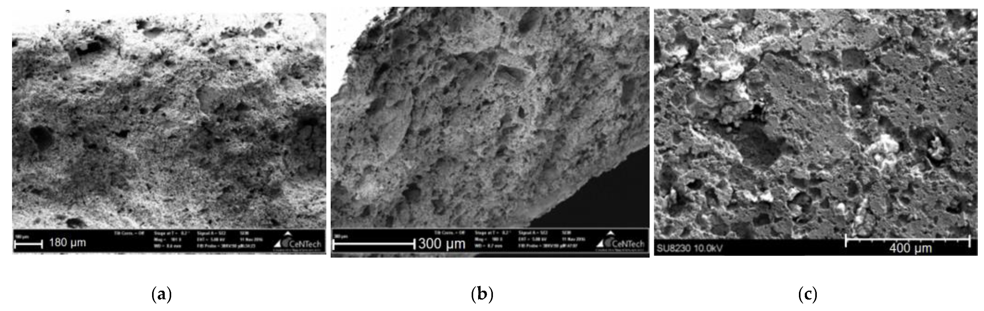 Materials 14 02168 g008