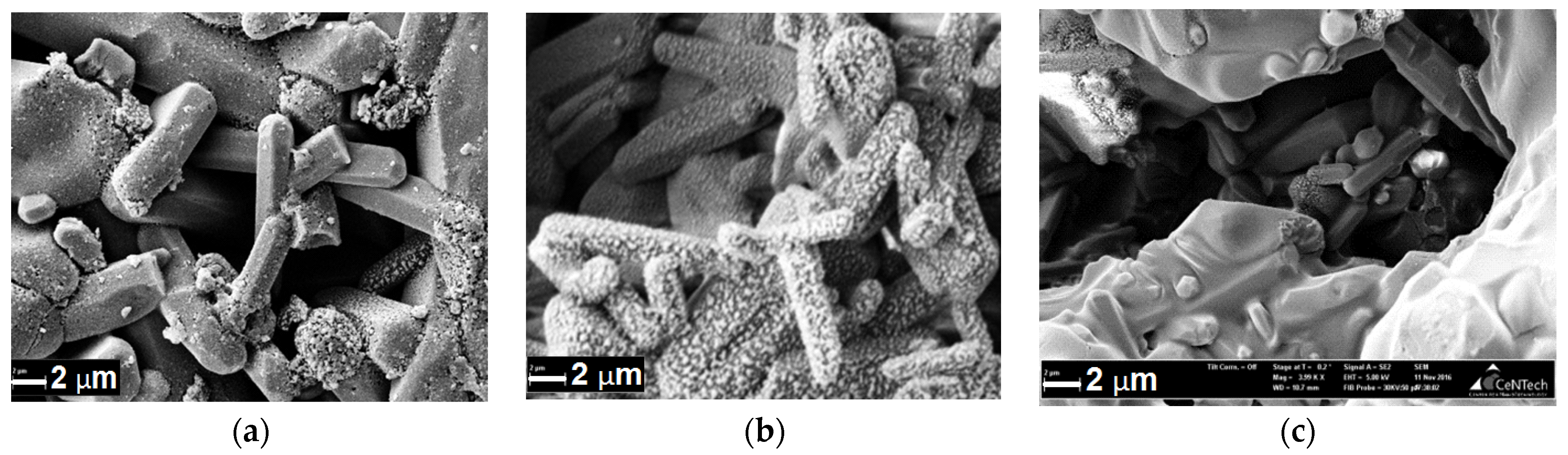 Materials 14 02168 g010