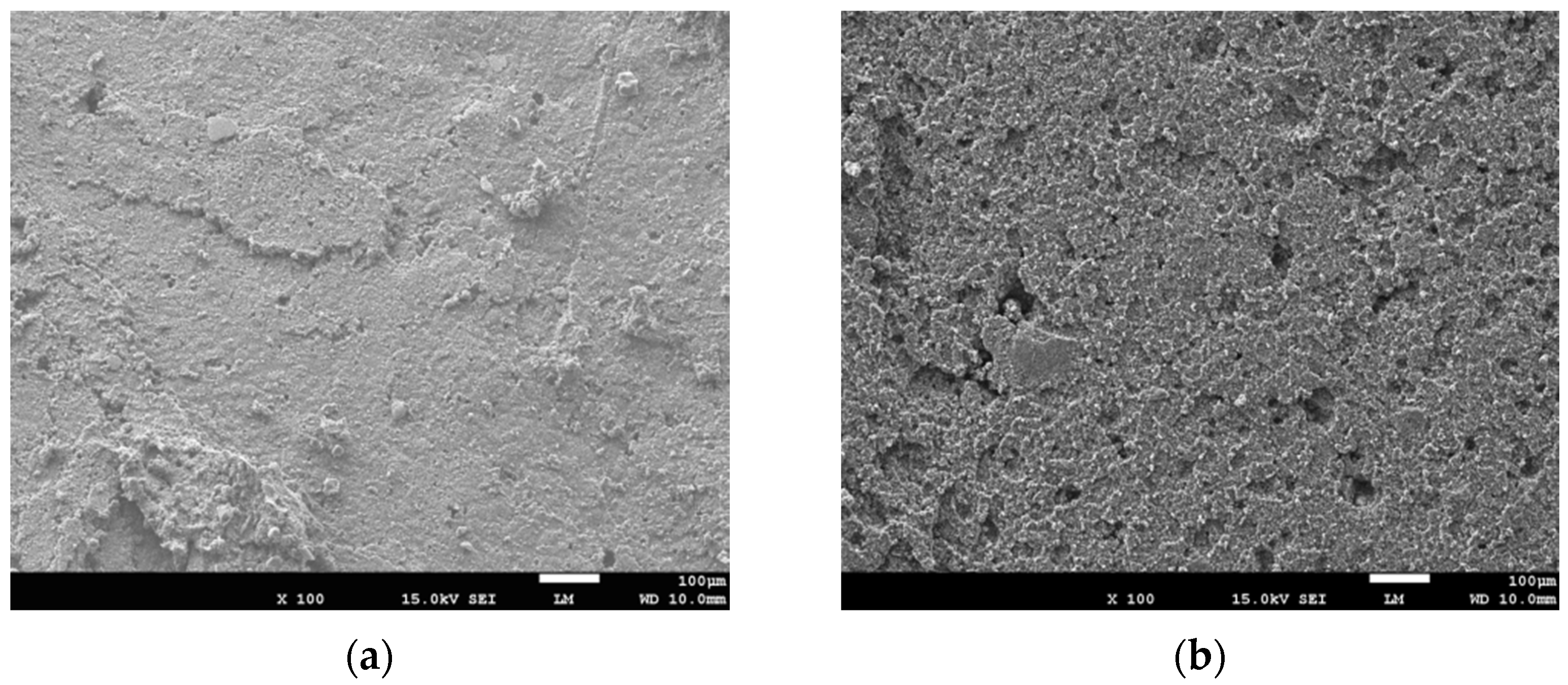 Materials 14 02183 g006a Materials 14 02183 g006a