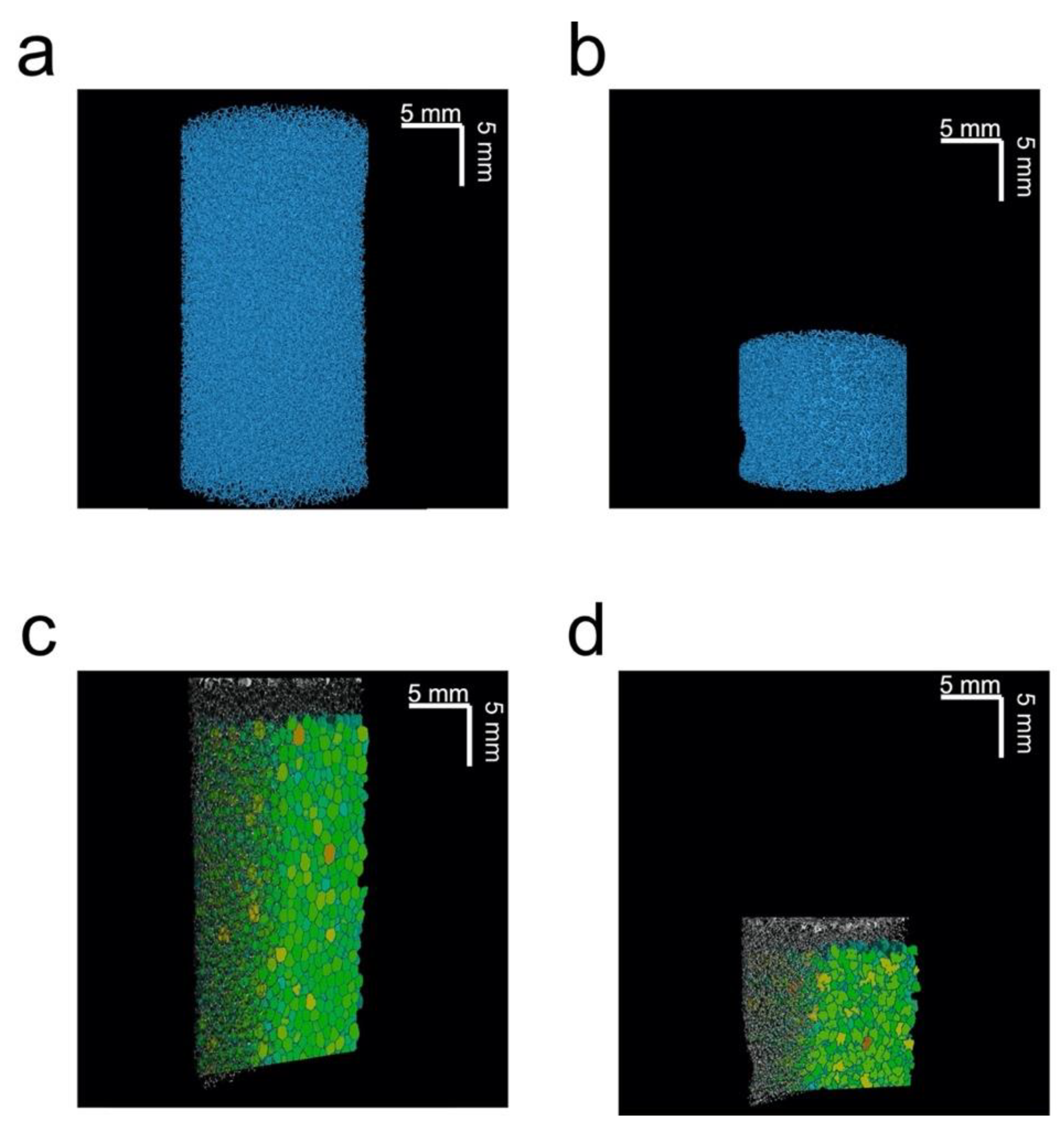 Materials 14 02187 g003 Materials 14 02187 g003