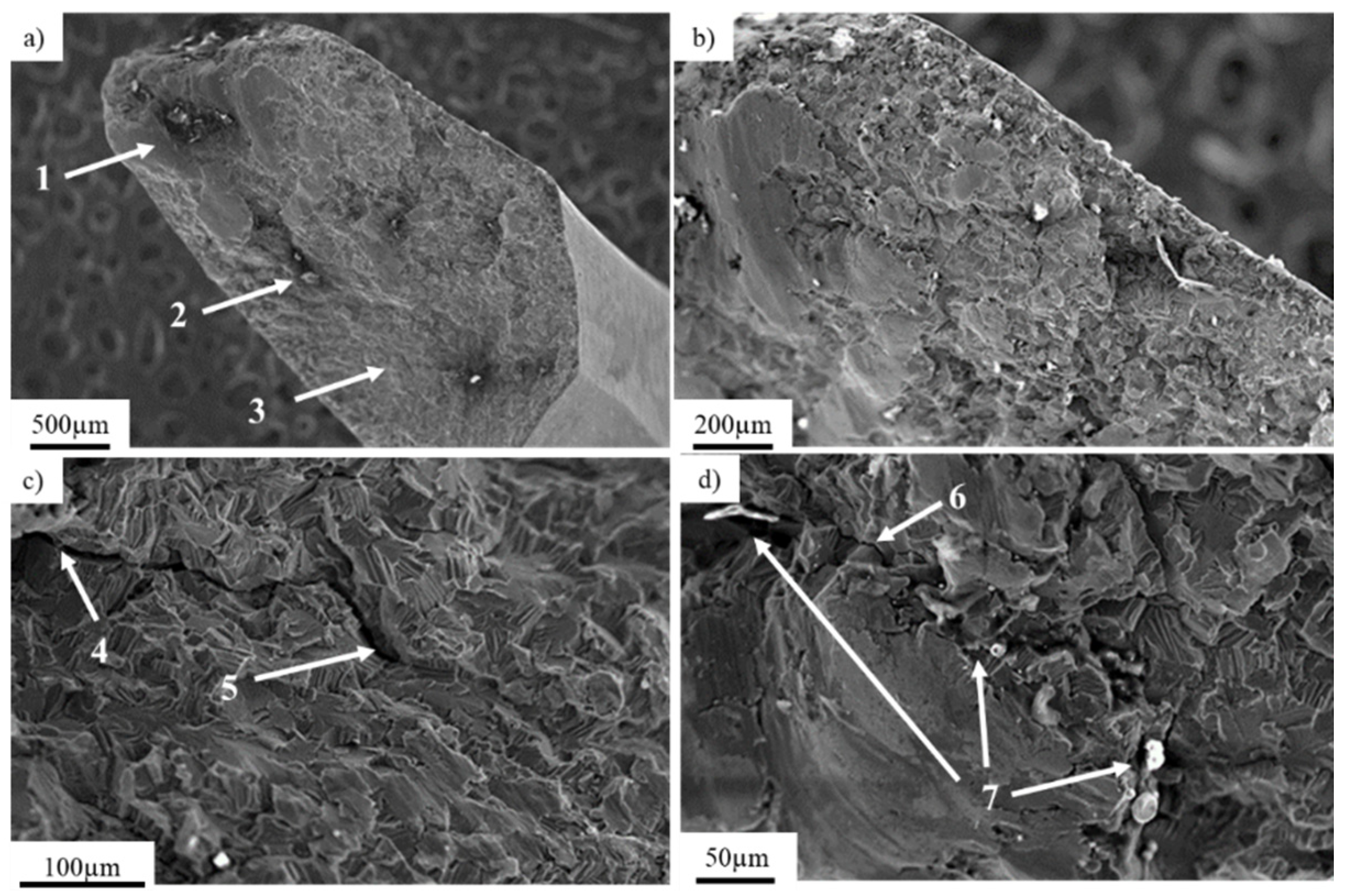 Materials 14 02209 g002 Materials 14 02209 g002
