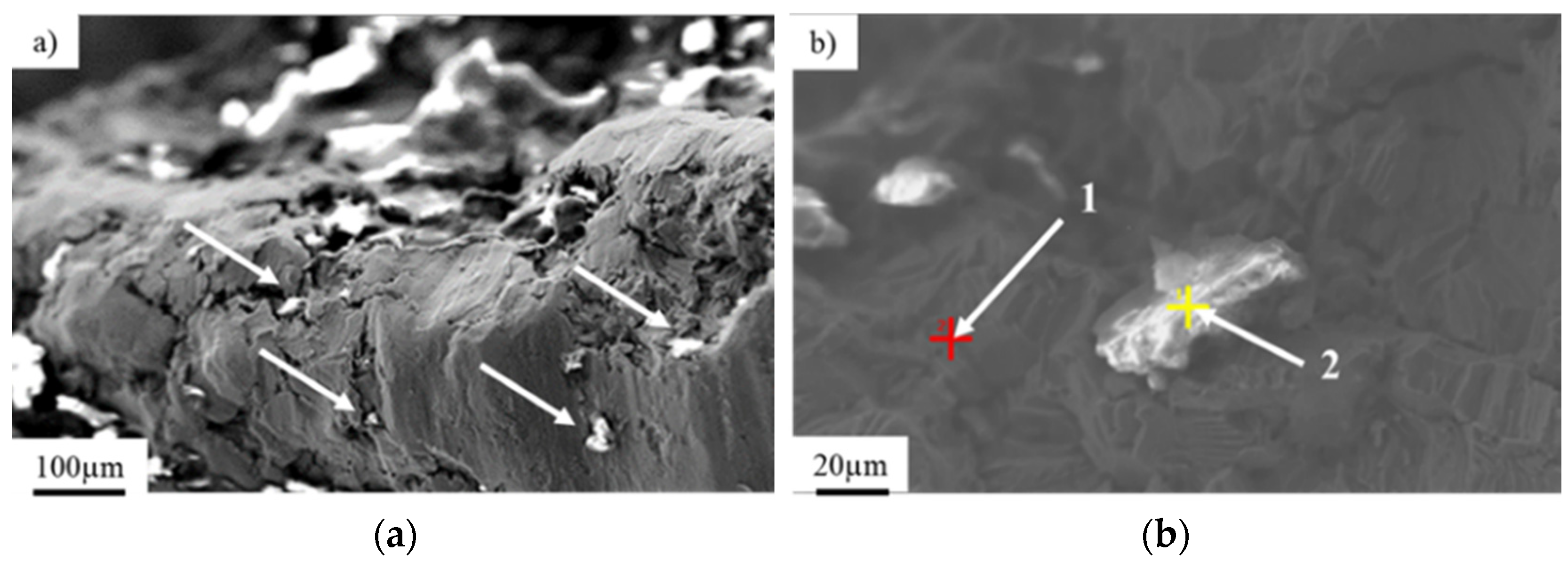 Materials 14 02209 g003 Materials 14 02209 g003